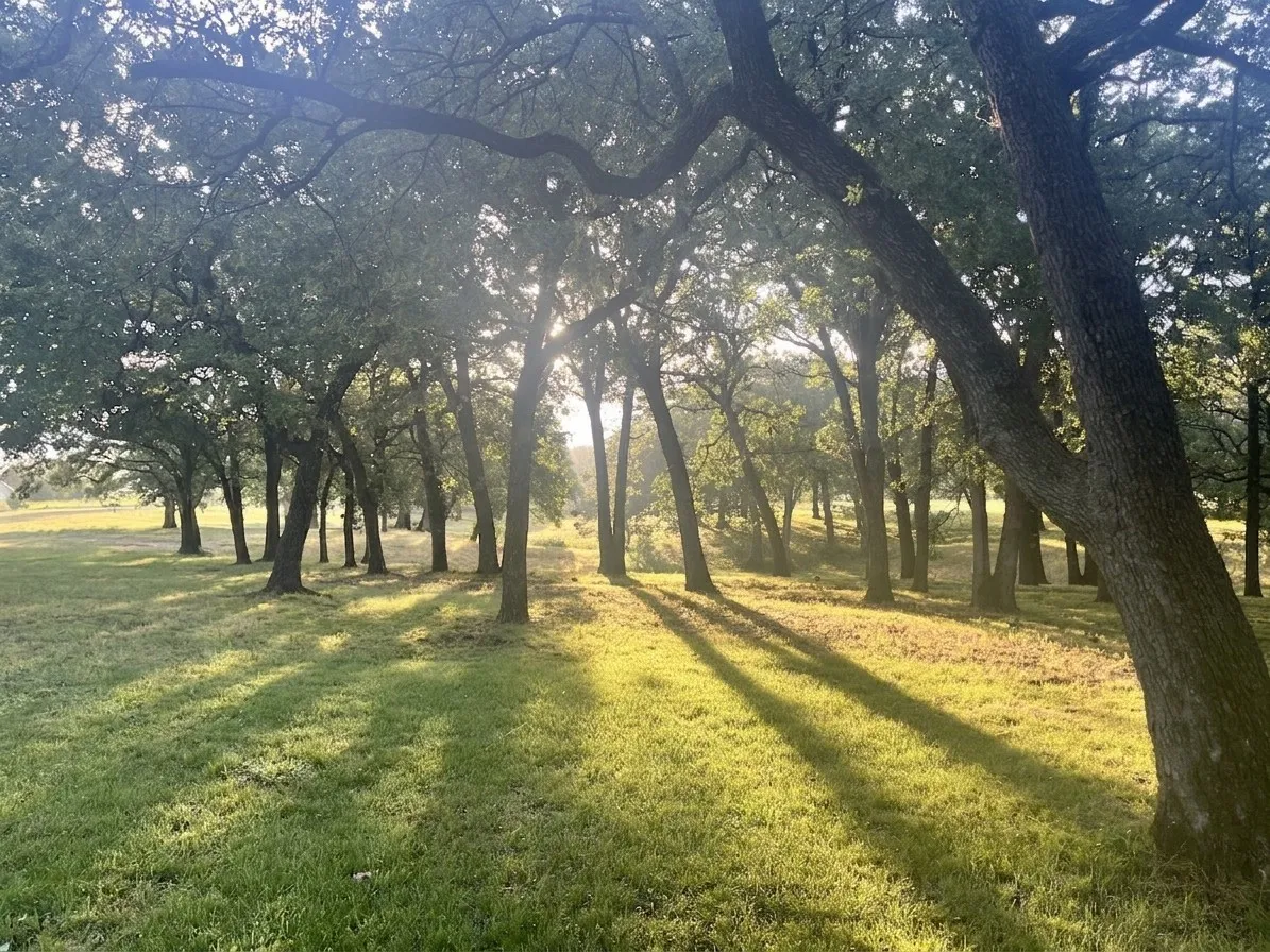 Single Family Residence For Sale in Grayson County , 27659 US Highway 377, Gordonville, Texas 76245, 3 Bedroom, 3 Bathroom, 2 Garage spaces, 2,707 Sqft, built in 1981, Price $975,000, mls#21273294, Real Estate Agent in Gordonville, Homes For Sale in Grayson county, Homes For Sale in Gordonville, Realtor in Gordonville Texas, Real Estate Brokerage Independent Realty Texas, Luminita Cordes Realtor