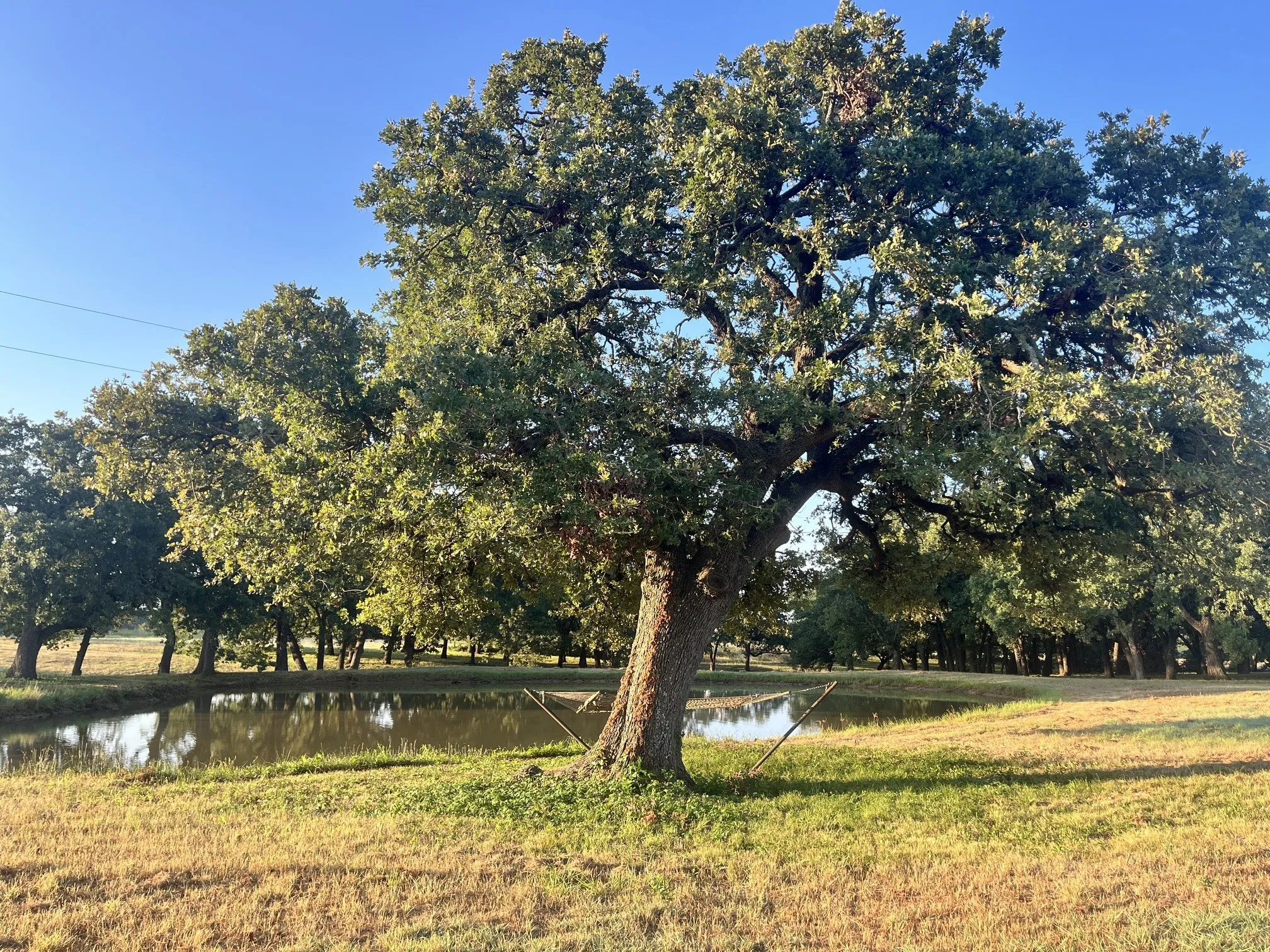 Single Family Residence For Sale in Grayson County , 27659 US Highway 377, Gordonville, Texas 76245, 3 Bedroom, 3 Bathroom, 2 Garage spaces, 2,707 Sqft, built in 1981, Price $975,000, mls#21273294, Real Estate Agent in Gordonville, Homes For Sale in Grayson county, Homes For Sale in Gordonville, Realtor in Gordonville Texas, Real Estate Brokerage Independent Realty Texas, Luminita Cordes Realtor