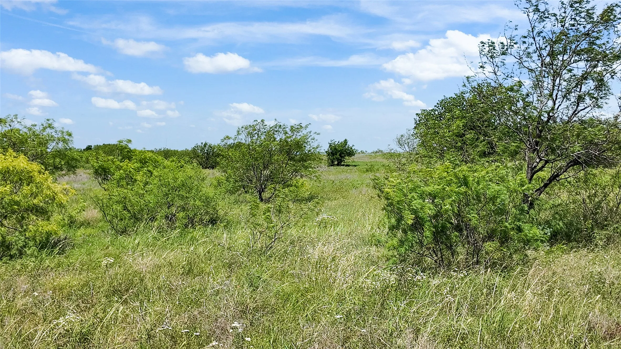 Improved Land For Sale in Montague County , 16209 Fm 1816, Nocona, Texas 76255, 0, 0, Garage spaces, 0 Sqft, built in 1920, Price $499,000, mls#21275406, Real Estate Agent in Nocona, Homes For Sale in Montague county, Homes For Sale in Nocona, Realtor in Nocona Texas, Real Estate Brokerage Independent Realty Texas, Luminita Cordes Realtor