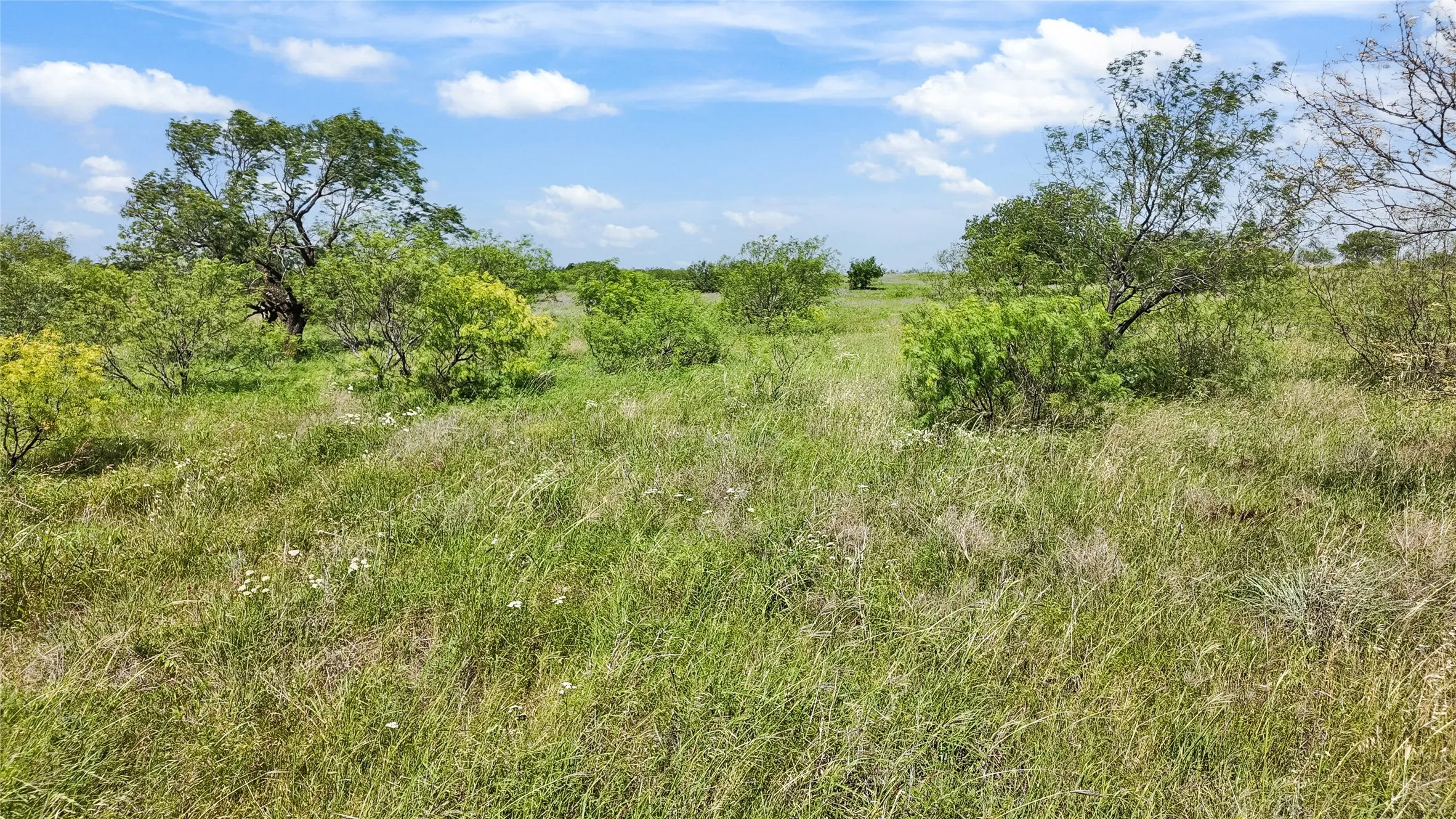 Improved Land For Sale in Montague County , 16209 Fm 1816, Nocona, Texas 76255, 0, 0, Garage spaces, 0 Sqft, built in 1920, Price $499,000, mls#21275406, Real Estate Agent in Nocona, Homes For Sale in Montague county, Homes For Sale in Nocona, Realtor in Nocona Texas, Real Estate Brokerage Independent Realty Texas, Luminita Cordes Realtor
