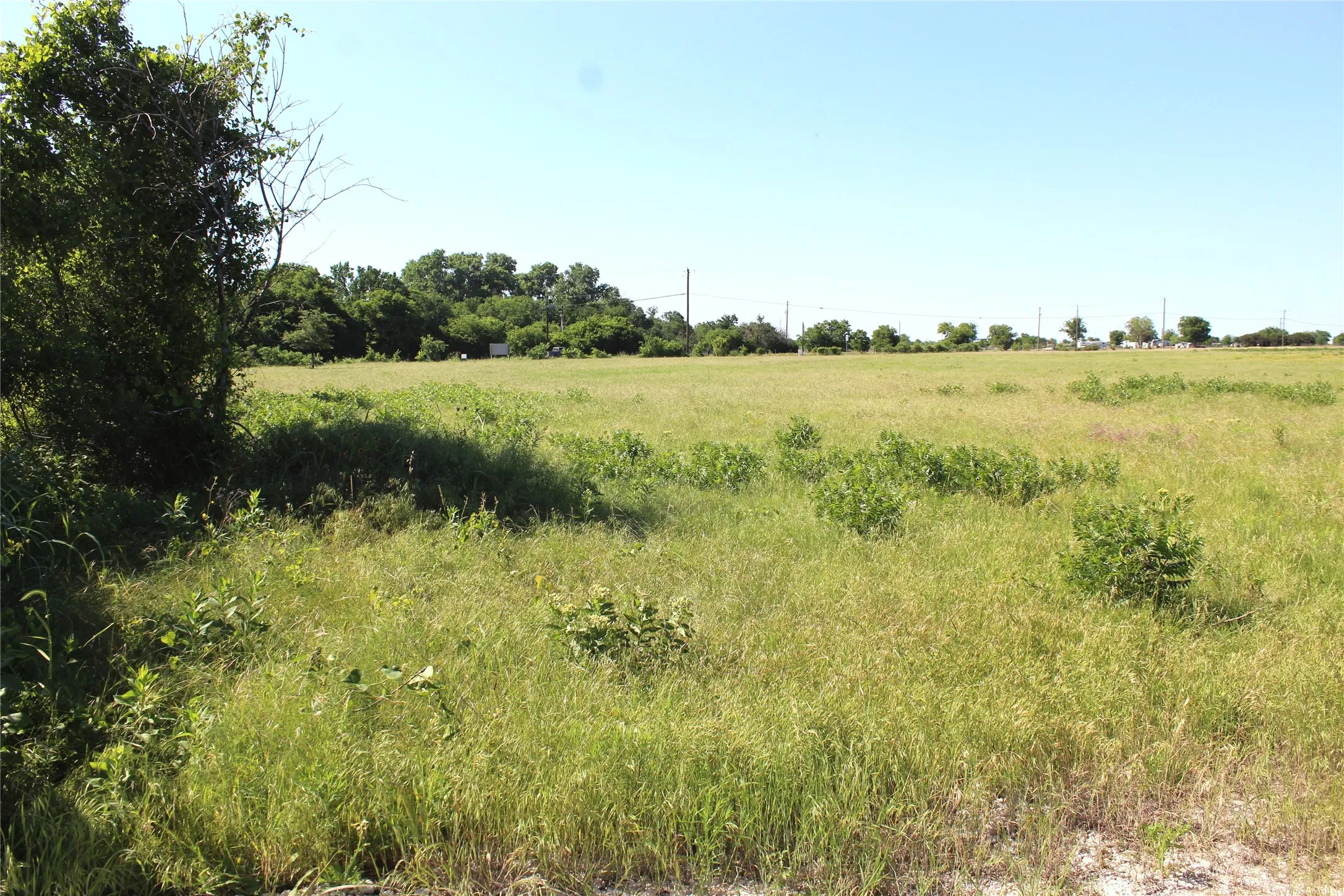 Unimproved Land For Sale in Erath County , 225 County Road 215, Hico, Texas 76457, 0, 0, Garage spaces, 0 Sqft, built in 0, Price $220,000, mls#21274950, Real Estate Agent in Hico, Homes For Sale in Erath county, Homes For Sale in Hico, Realtor in Hico Texas, Real Estate Brokerage Independent Realty Texas, Luminita Cordes Realtor