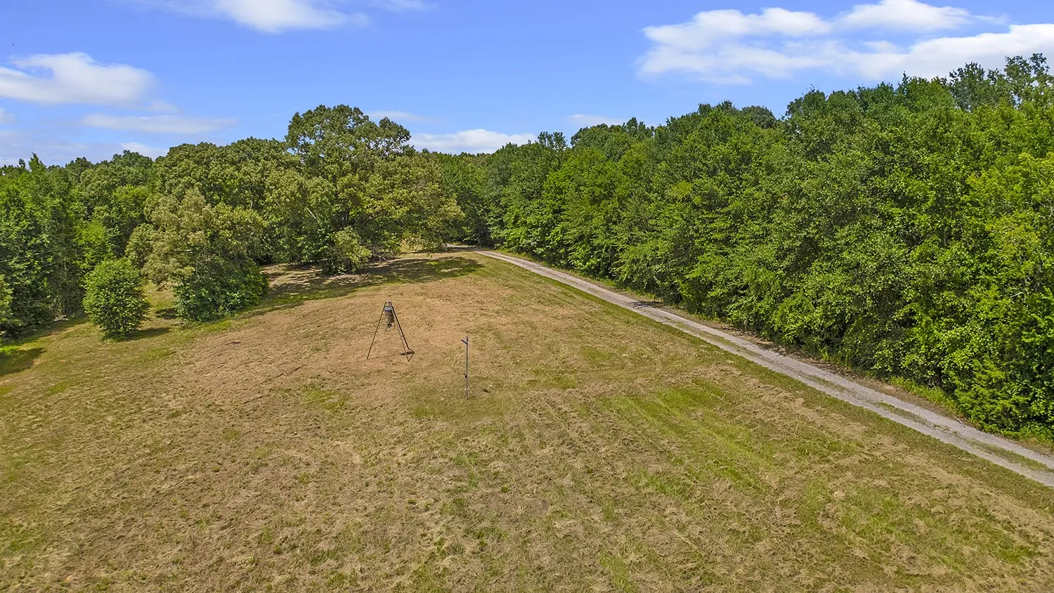 Expansive open field bordered by dense woodland