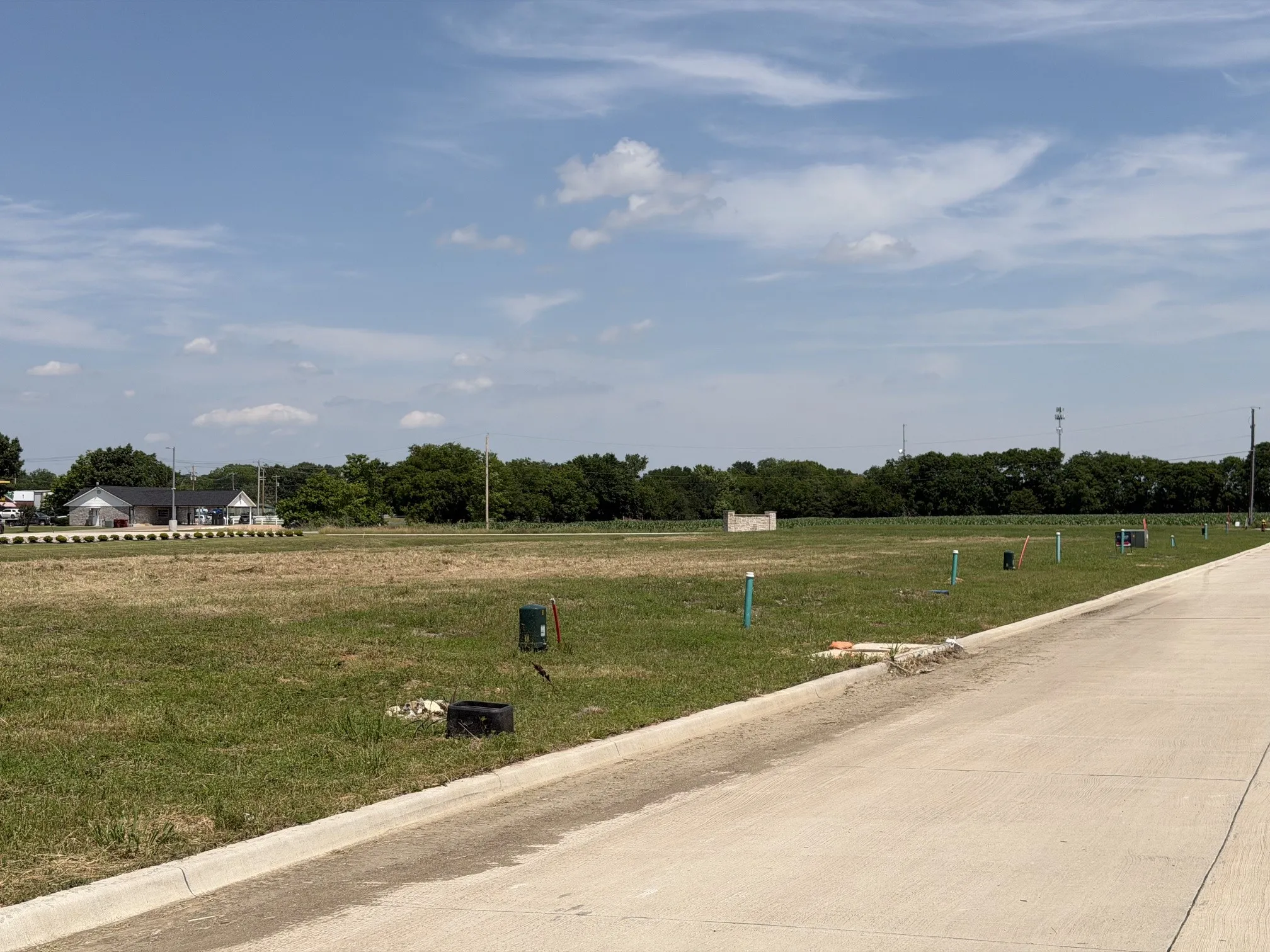 Improved Land For Sale in Fannin County , 201 Nokota Drive, Leonard, Texas 75452, 0, 0, Garage spaces, 0 Sqft, built in 0, Price $62,500, mls#21275650, Real Estate Agent in Leonard, Homes For Sale in Fannin county, Homes For Sale in Leonard, Realtor in Leonard Texas, Real Estate Brokerage Independent Realty Texas, Luminita Cordes Realtor