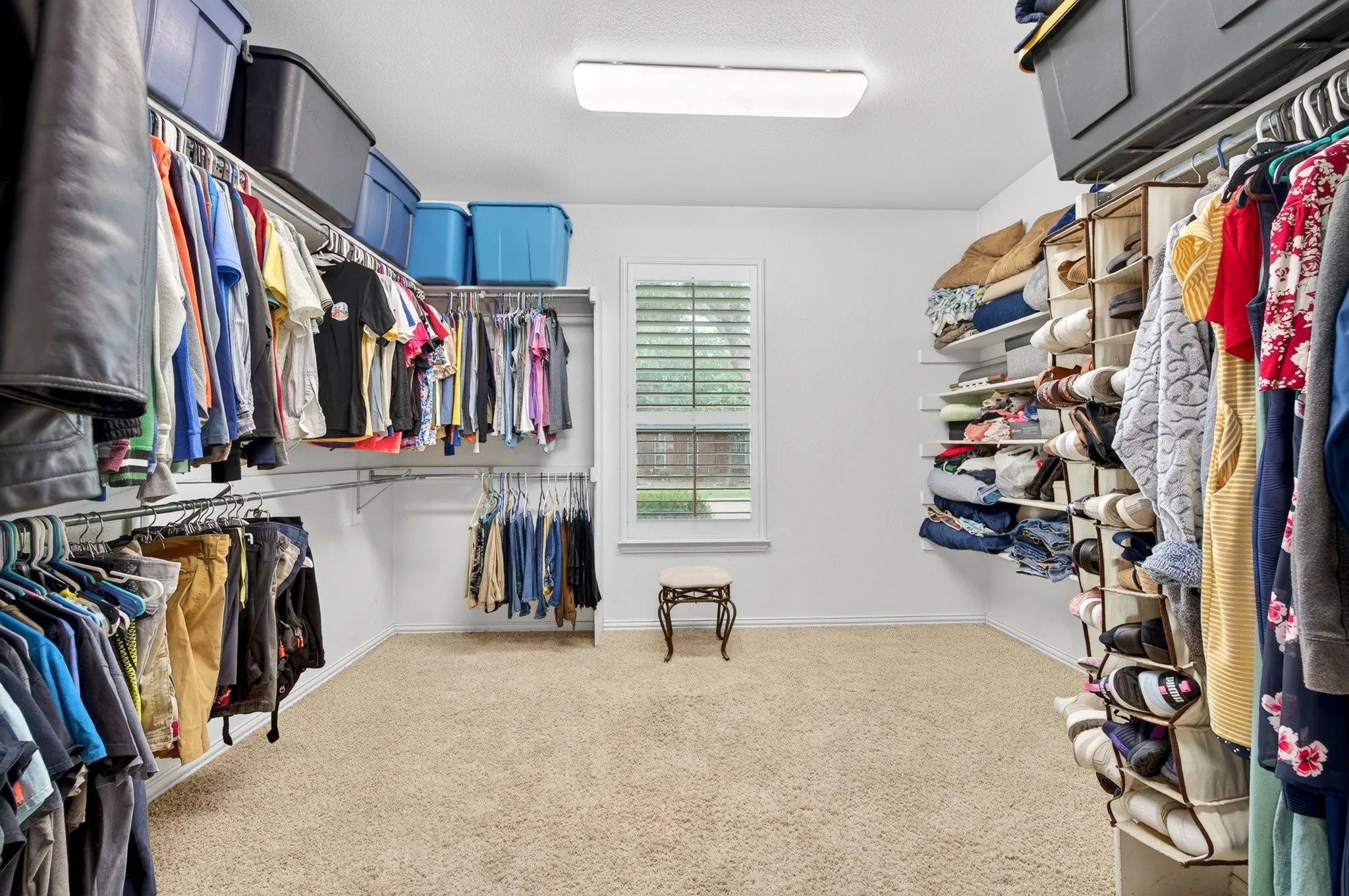Huge Walk-in closet featuring carpet flooring, a single window with blinds, and built-in shelving and hanging rods