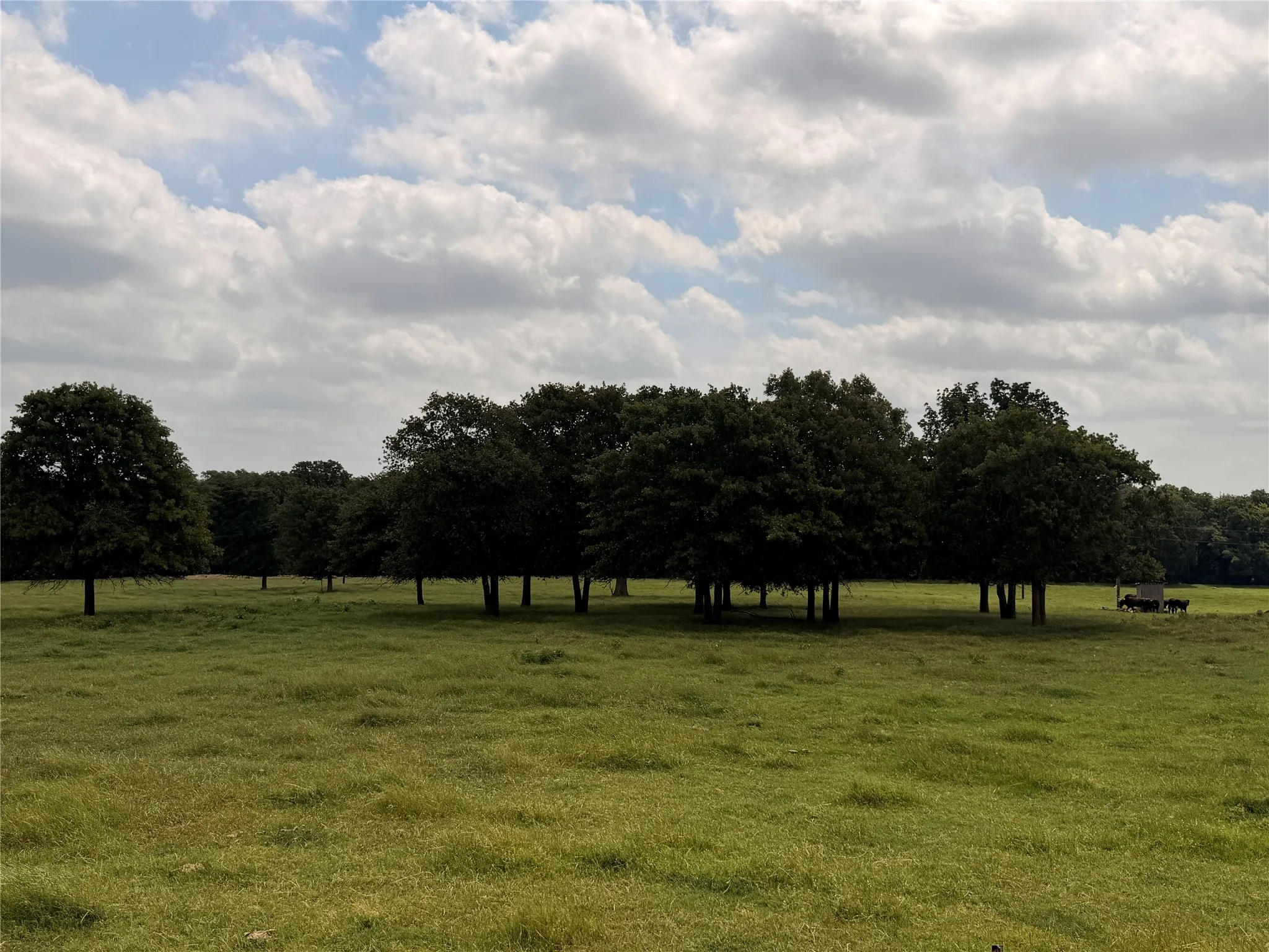 Mobile Home For Sale in Cooke County , 4709 Fm 2383, Whitesboro, Texas 76273, 1 Bedroom, 1 Bathroom, Garage spaces, 1,200 Sqft, built in 2017, mls#21275799, Real Estate Agent in Whitesboro, Homes For Sale in Cooke county, Homes For Sale in Whitesboro, Realtor in Whitesboro Texas, Real Estate Brokerage Independent Realty Texas, Luminita Cordes Realtor