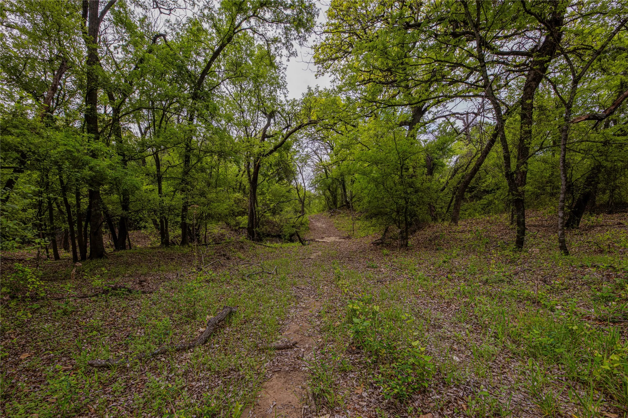 Ranch For Sale in Erath County , 7523 County Road 163, Stephenville, Texas 76401, 0, 0, Garage spaces, 0 Sqft, built in 1958, mls#21275825, Real Estate Agent in Stephenville, Homes For Sale in Erath county, Homes For Sale in Stephenville, Realtor in Stephenville Texas, Real Estate Brokerage Independent Realty Texas, Luminita Cordes Realtor