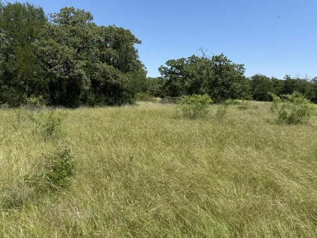 Ranch For Sale in Erath County , 7523 County Road 163, Stephenville, Texas 76401, 0, 0, Garage spaces, 0 Sqft, built in 1958, mls#21275825, Real Estate Agent in Stephenville, Homes For Sale in Erath county, Homes For Sale in Stephenville, Realtor in Stephenville Texas, Real Estate Brokerage Independent Realty Texas, Luminita Cordes Realtor