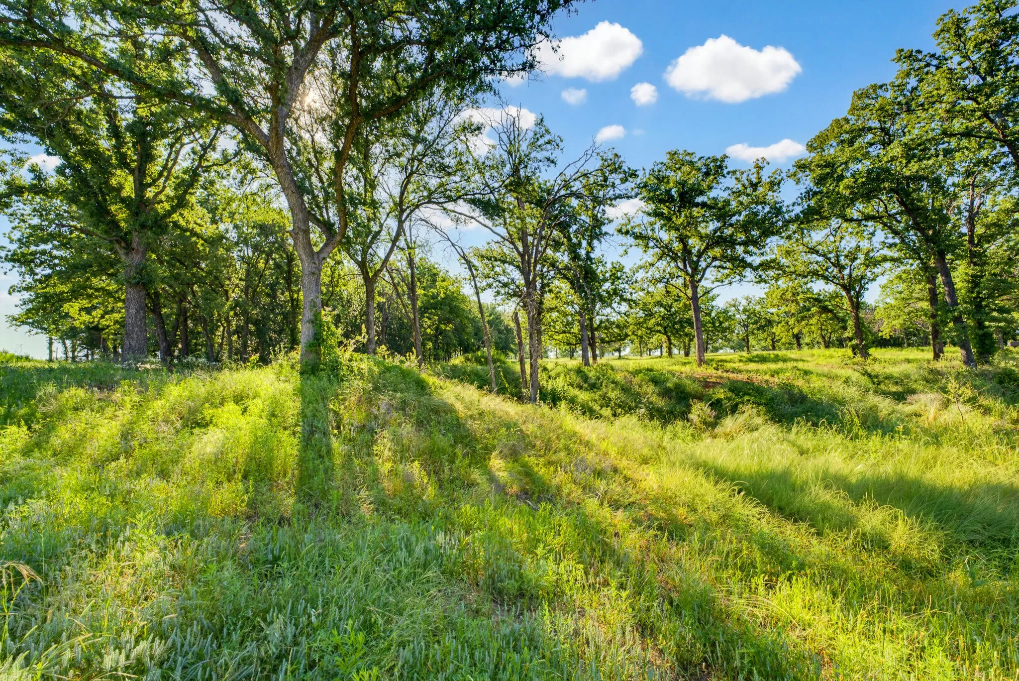 Single Family Residence For Sale in Wise County , 442 CR 1270, Alvord, Texas 76225, 4 Bedrooms, 4 Bathrooms, Garage spaces, 672 Sqft, built in 2024, Price $1,250,000, mls#21275874, Real Estate Agent in Alvord, Homes For Sale in Wise county, Homes For Sale in Alvord, Realtor in Alvord Texas, Real Estate Brokerage Independent Realty Texas, Luminita Cordes Realtor