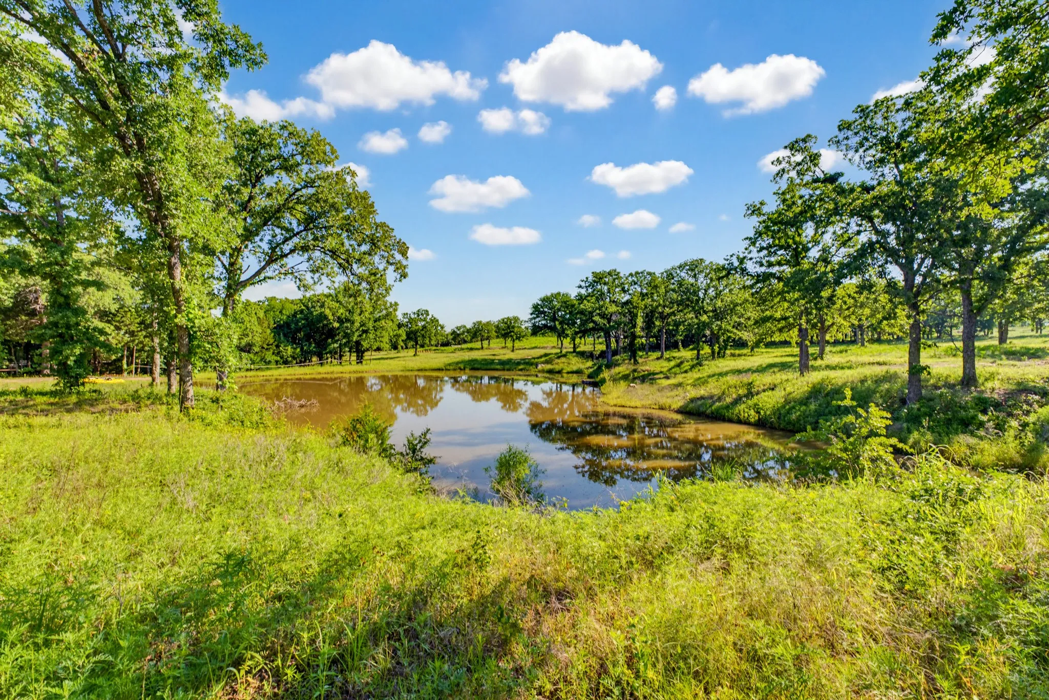 Single Family Residence For Sale in Wise County , 442 CR 1270, Alvord, Texas 76225, 4 Bedrooms, 4 Bathrooms, Garage spaces, 672 Sqft, built in 2024, Price $1,250,000, mls#21275874, Real Estate Agent in Alvord, Homes For Sale in Wise county, Homes For Sale in Alvord, Realtor in Alvord Texas, Real Estate Brokerage Independent Realty Texas, Luminita Cordes Realtor
