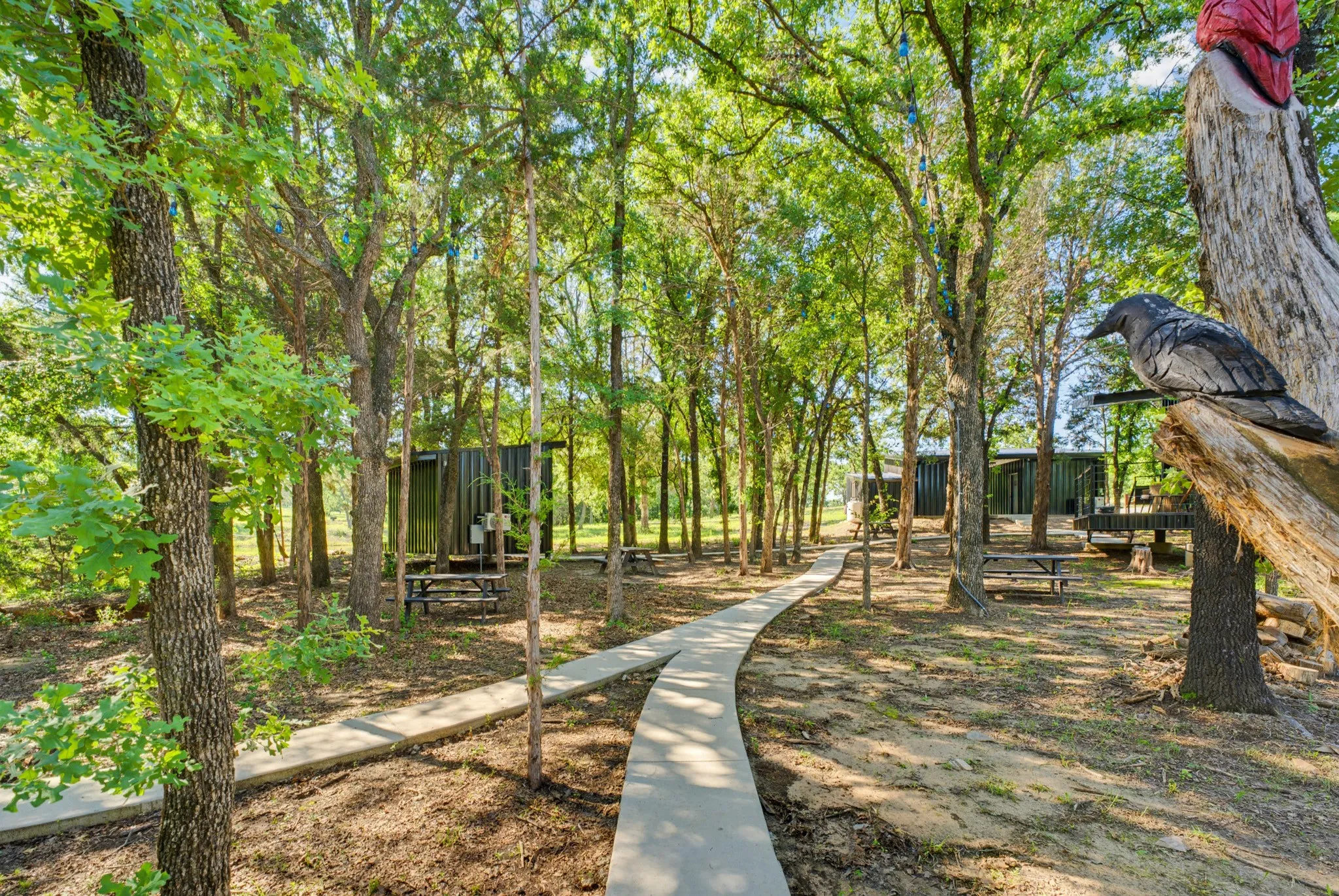 Single Family Residence For Sale in Wise County , 442 CR 1270, Alvord, Texas 76225, 4 Bedrooms, 4 Bathrooms, Garage spaces, 672 Sqft, built in 2024, Price $1,250,000, mls#21275874, Real Estate Agent in Alvord, Homes For Sale in Wise county, Homes For Sale in Alvord, Realtor in Alvord Texas, Real Estate Brokerage Independent Realty Texas, Luminita Cordes Realtor