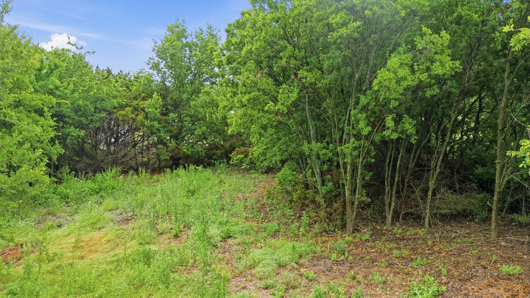Unimproved Land For Sale in Parker County , 113 Denton Heights Lane, Weatherford, Texas 76085, 0, 0, Garage spaces, 0 Sqft, built in 0, Price $90,000, mls#21274286, Real Estate Agent in Weatherford, Homes For Sale in Parker county, Homes For Sale in Weatherford, Realtor in Weatherford Texas, Real Estate Brokerage Independent Realty Texas, Luminita Cordes Realtor