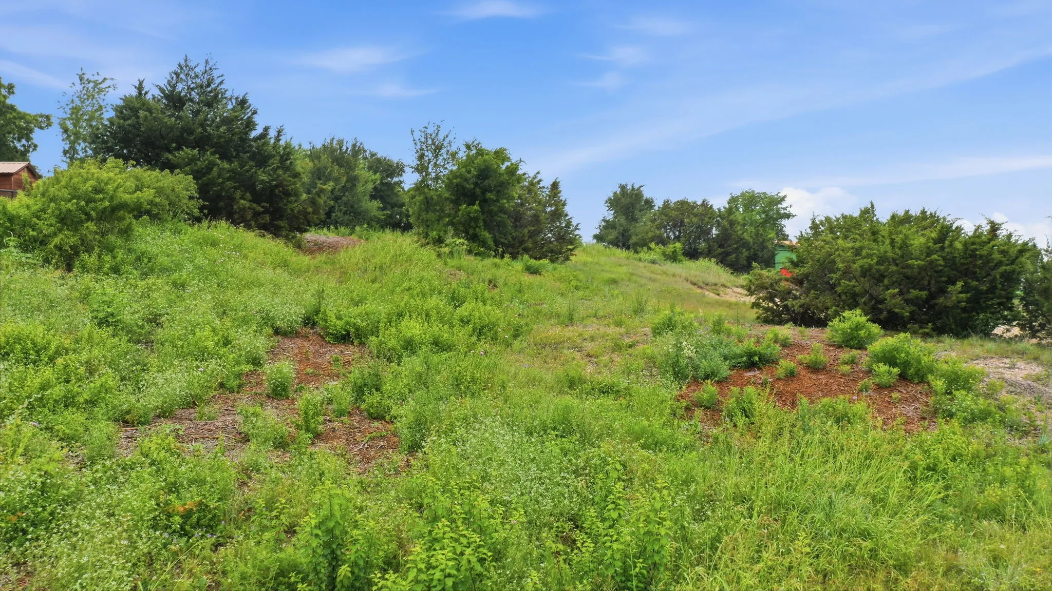Unimproved Land For Sale in Parker County , 113 Denton Heights Lane, Weatherford, Texas 76085, 0, 0, Garage spaces, 0 Sqft, built in 0, Price $90,000, mls#21274286, Real Estate Agent in Weatherford, Homes For Sale in Parker county, Homes For Sale in Weatherford, Realtor in Weatherford Texas, Real Estate Brokerage Independent Realty Texas, Luminita Cordes Realtor