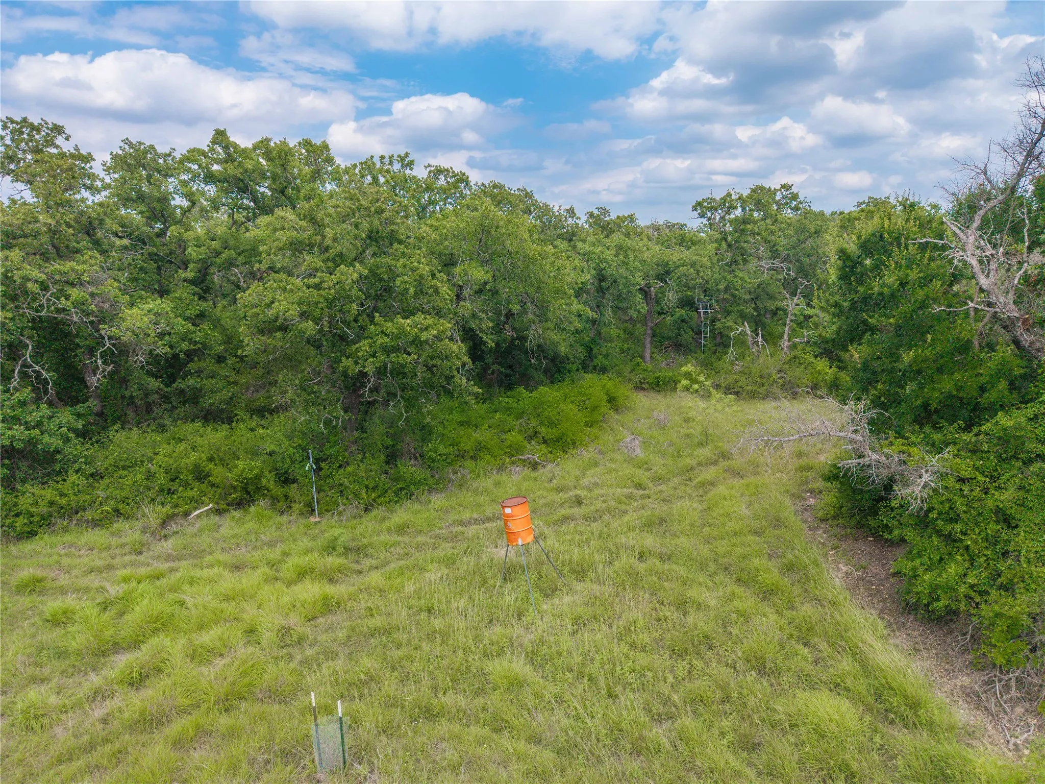 Expansive open land featuring natural grasses and dense tree lines