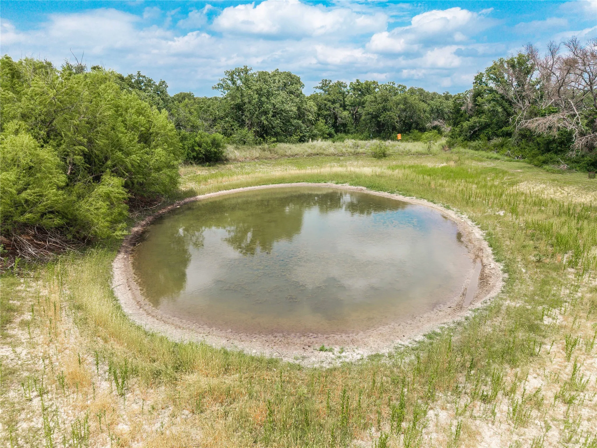 Natural pond feature surrounded by established trees and varied vegetation under a partially cloudy sky