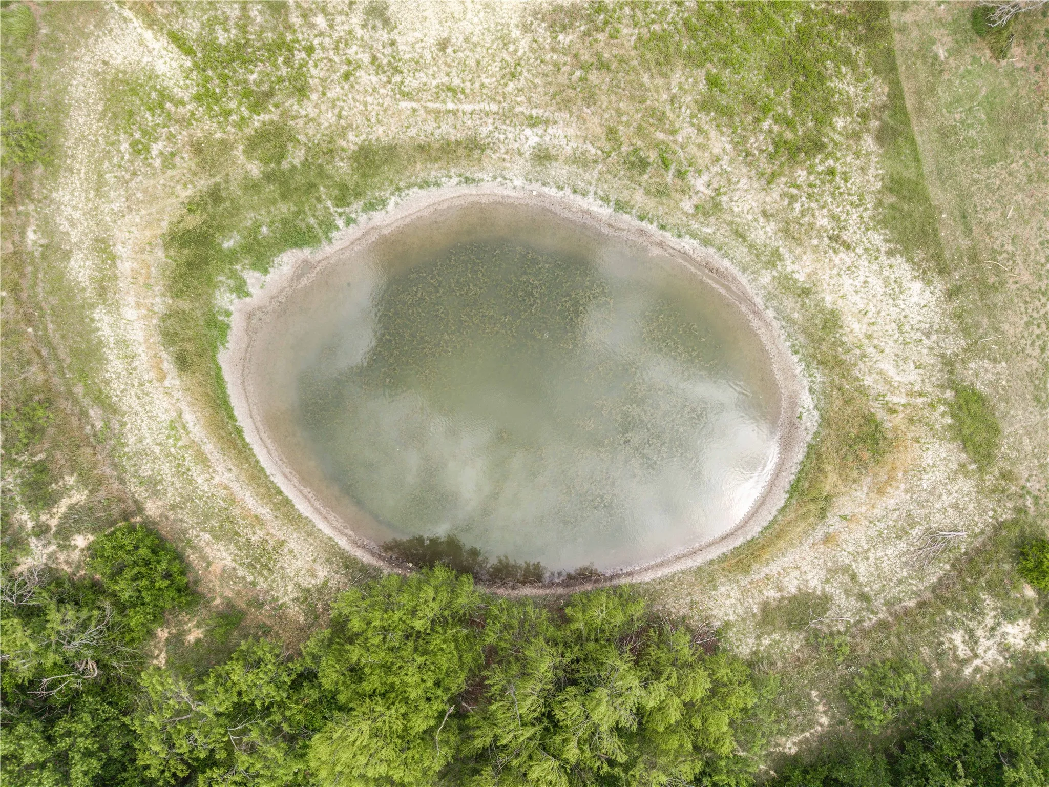 Aerial depiction of a natural pond surrounded by varied terrain, including areas of green vegetation and lighter ground cover