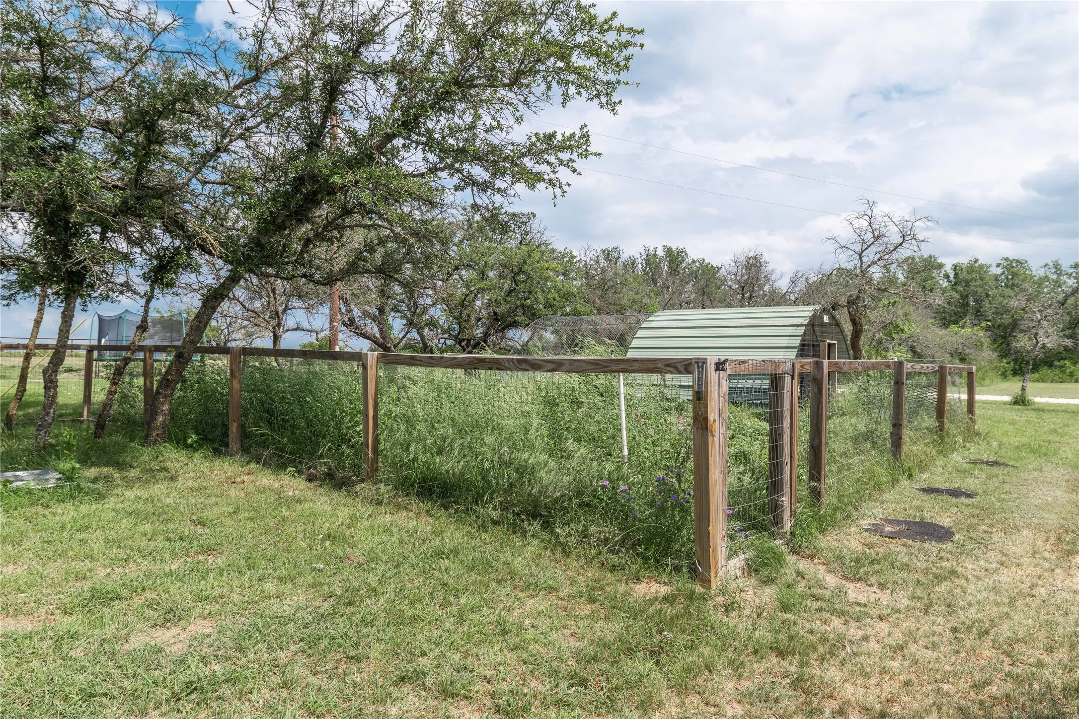 Fenced enclosure with a green metal-roofed structure, featuring established trees, wire fencing, and partial grass ground cover