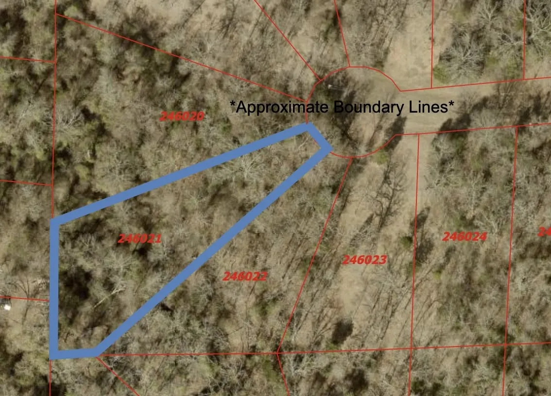 Unimproved Land For Sale in Henderson County , 00 Cody Circle, Malakoff, Texas 75148, 0, 0, Garage spaces, 0 Sqft, built in 0, Price $13,000, mls#21276043, Real Estate Agent in Malakoff, Homes For Sale in Henderson county, Homes For Sale in Malakoff, Realtor in Malakoff Texas, Real Estate Brokerage Independent Realty Texas, Luminita Cordes Realtor