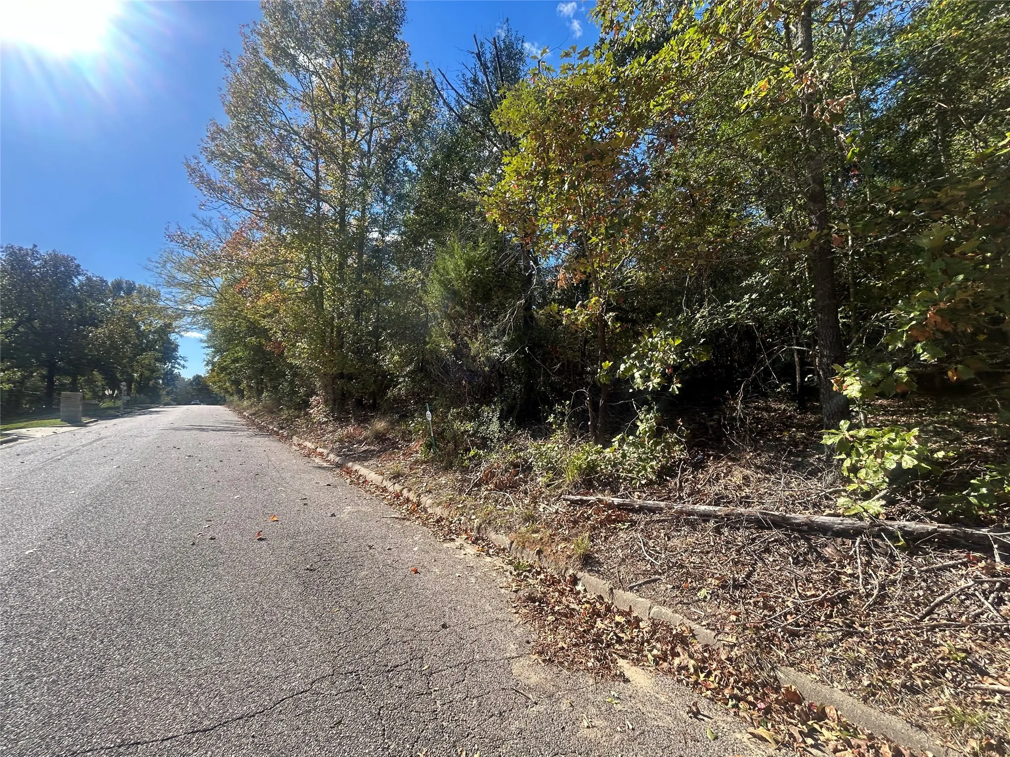 Unimproved Land For Sale in Henderson County , 11 Bayshore Drive, Athens, Texas 75752, 0, 0, Garage spaces, 0 Sqft, built in 0, Price $55,000, mls#21276058, Real Estate Agent in Athens, Homes For Sale in Henderson county, Homes For Sale in Athens, Realtor in Athens Texas, Real Estate Brokerage Independent Realty Texas, Luminita Cordes Realtor