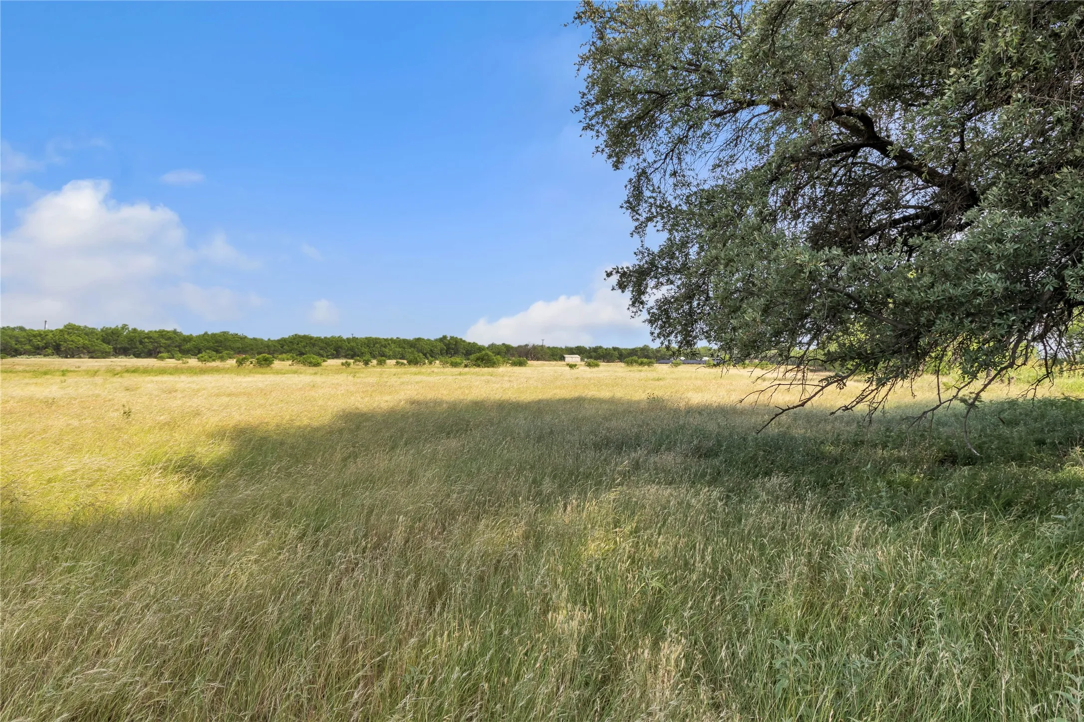 Ranch For Sale in Callahan County , 14175 State Highway 6, Moran, Texas 76464, 0, 0, Garage spaces, 0 Sqft, built in 0, Price $695,600, mls#21273557, Real Estate Agent in Moran, Homes For Sale in Callahan county, Homes For Sale in Moran, Realtor in Moran Texas, Real Estate Brokerage Independent Realty Texas, Luminita Cordes Realtor