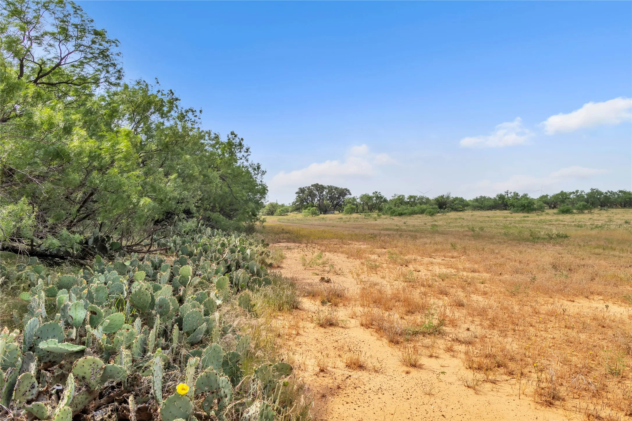 Ranch For Sale in Callahan County , 14175 State Highway 6, Moran, Texas 76464, 0, 0, Garage spaces, 0 Sqft, built in 0, Price $695,600, mls#21273557, Real Estate Agent in Moran, Homes For Sale in Callahan county, Homes For Sale in Moran, Realtor in Moran Texas, Real Estate Brokerage Independent Realty Texas, Luminita Cordes Realtor