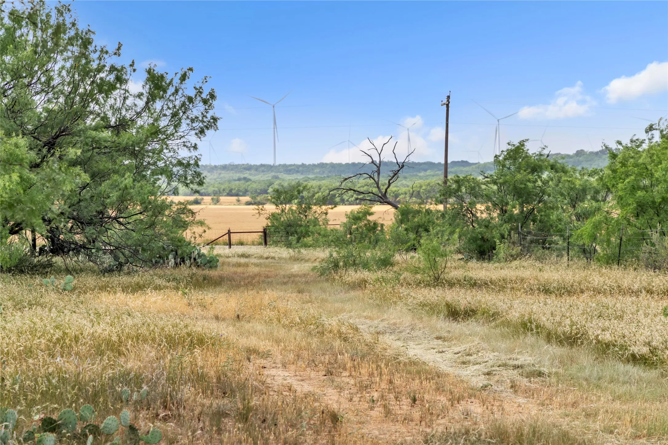 Ranch For Sale in Callahan County , 14175 State Highway 6, Moran, Texas 76464, 0, 0, Garage spaces, 0 Sqft, built in 0, Price $695,600, mls#21273557, Real Estate Agent in Moran, Homes For Sale in Callahan county, Homes For Sale in Moran, Realtor in Moran Texas, Real Estate Brokerage Independent Realty Texas, Luminita Cordes Realtor