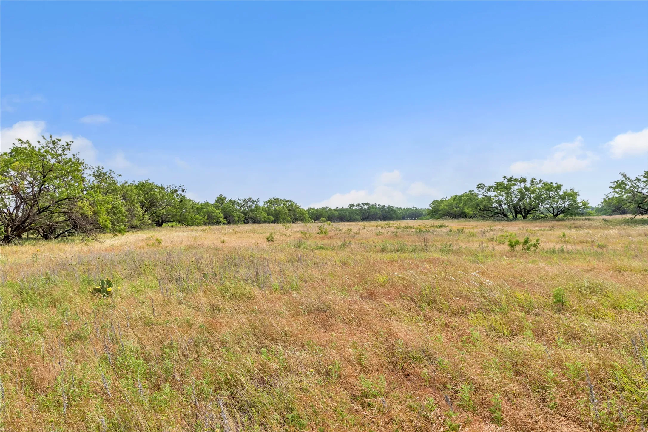 Ranch For Sale in Callahan County , 14175 State Highway 6, Moran, Texas 76464, 0, 0, Garage spaces, 0 Sqft, built in 0, Price $695,600, mls#21273557, Real Estate Agent in Moran, Homes For Sale in Callahan county, Homes For Sale in Moran, Realtor in Moran Texas, Real Estate Brokerage Independent Realty Texas, Luminita Cordes Realtor
