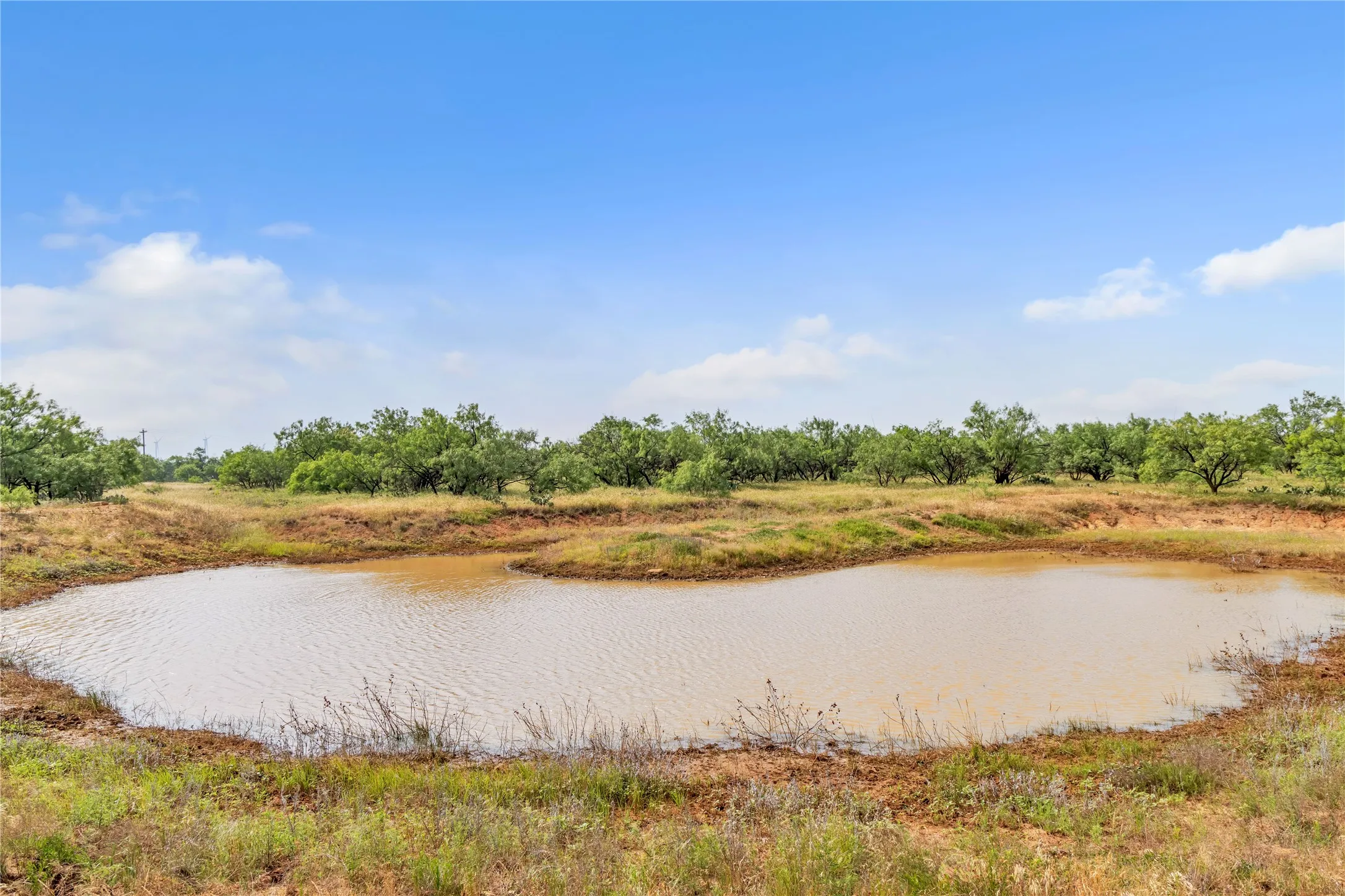 Ranch For Sale in Callahan County , 14175 State Highway 6, Moran, Texas 76464, 0, 0, Garage spaces, 0 Sqft, built in 0, Price $695,600, mls#21273557, Real Estate Agent in Moran, Homes For Sale in Callahan county, Homes For Sale in Moran, Realtor in Moran Texas, Real Estate Brokerage Independent Realty Texas, Luminita Cordes Realtor