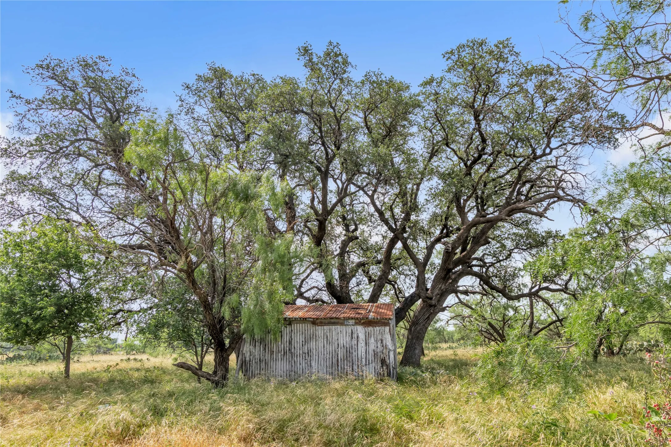 Ranch For Sale in Callahan County , 14175 State Highway 6, Moran, Texas 76464, 0, 0, Garage spaces, 0 Sqft, built in 0, Price $695,600, mls#21273557, Real Estate Agent in Moran, Homes For Sale in Callahan county, Homes For Sale in Moran, Realtor in Moran Texas, Real Estate Brokerage Independent Realty Texas, Luminita Cordes Realtor