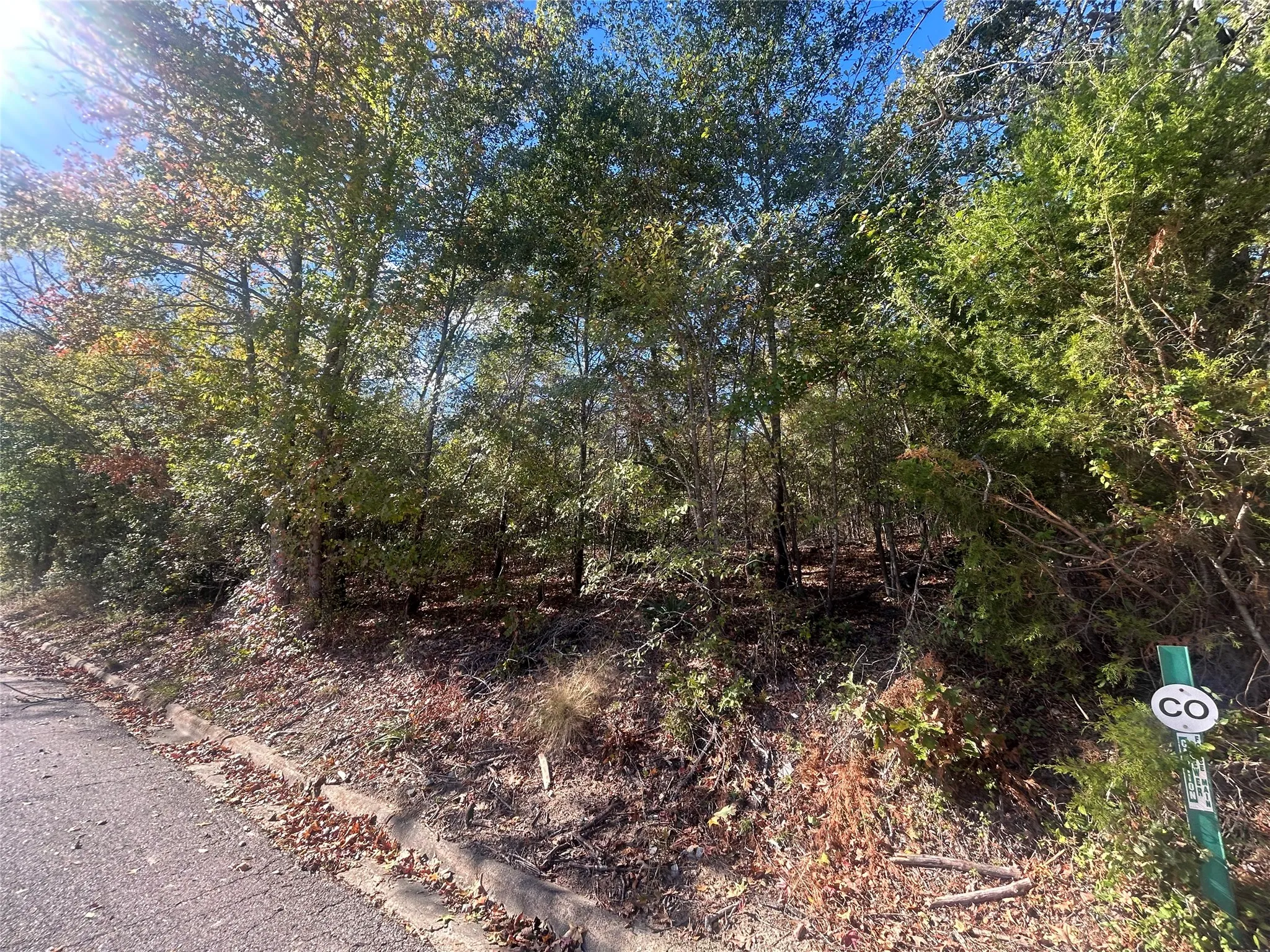 Unimproved Land For Sale in Henderson County , 10 Bayshore Drive, Athens, Texas 75752, 0, 0, Garage spaces, 0 Sqft, built in 0, Price $55,000, mls#21276070, Real Estate Agent in Athens, Homes For Sale in Henderson county, Homes For Sale in Athens, Realtor in Athens Texas, Real Estate Brokerage Independent Realty Texas, Luminita Cordes Realtor