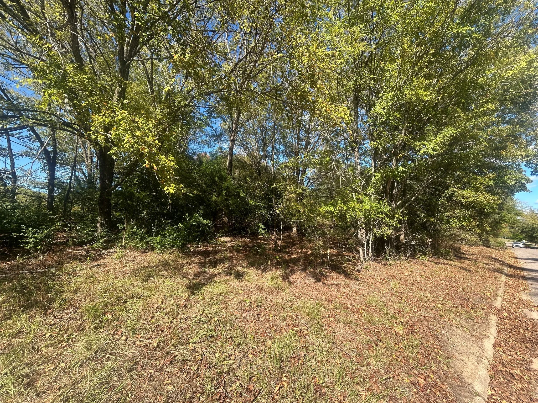Unimproved Land For Sale in Henderson County , 10 Bayshore Drive, Athens, Texas 75752, 0, 0, Garage spaces, 0 Sqft, built in 0, Price $55,000, mls#21276070, Real Estate Agent in Athens, Homes For Sale in Henderson county, Homes For Sale in Athens, Realtor in Athens Texas, Real Estate Brokerage Independent Realty Texas, Luminita Cordes Realtor