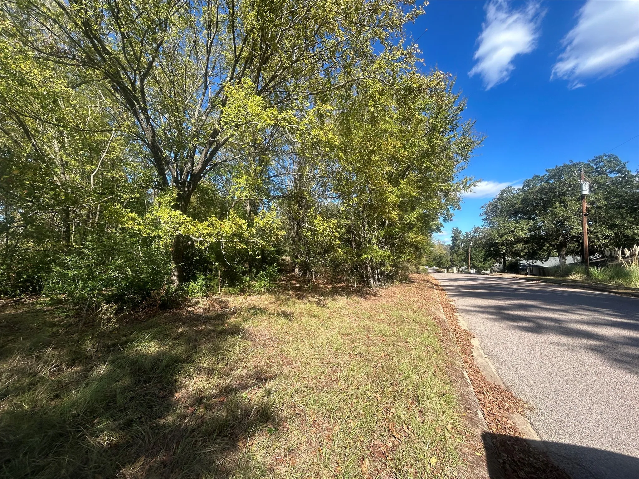 Unimproved Land For Sale in Henderson County , 10 Bayshore Drive, Athens, Texas 75752, 0, 0, Garage spaces, 0 Sqft, built in 0, Price $55,000, mls#21276070, Real Estate Agent in Athens, Homes For Sale in Henderson county, Homes For Sale in Athens, Realtor in Athens Texas, Real Estate Brokerage Independent Realty Texas, Luminita Cordes Realtor