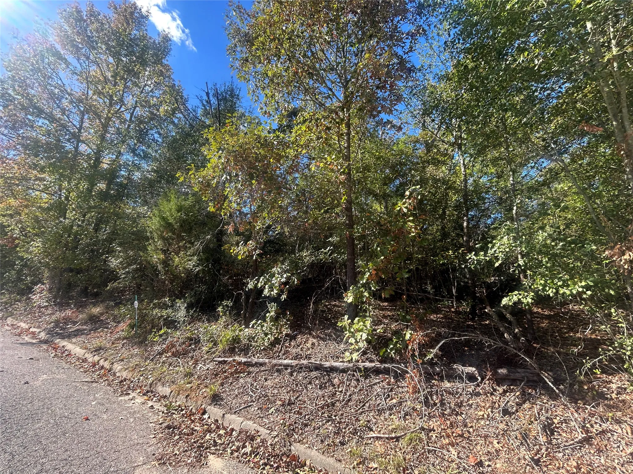 Unimproved Land For Sale in Henderson County , 9 Bayshore Drive, Athens, Texas 75752, 0, 0, Garage spaces, 0 Sqft, built in 0, Price $55,000, mls#21276071, Real Estate Agent in Athens, Homes For Sale in Henderson county, Homes For Sale in Athens, Realtor in Athens Texas, Real Estate Brokerage Independent Realty Texas, Luminita Cordes Realtor