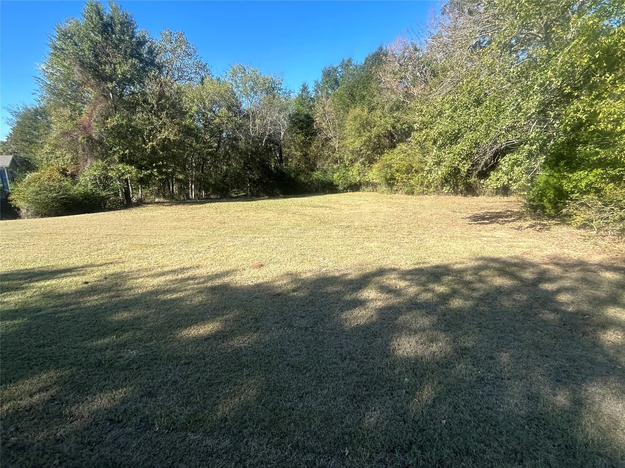 Unimproved Land For Sale in Henderson County , 0 Lake Lane, Eustace, Texas 75124, 0, 0, Garage spaces, 0 Sqft, built in 0, Price $12,000, mls#21276080, Real Estate Agent in Eustace, Homes For Sale in Henderson county, Homes For Sale in Eustace, Realtor in Eustace Texas, Real Estate Brokerage Independent Realty Texas, Luminita Cordes Realtor