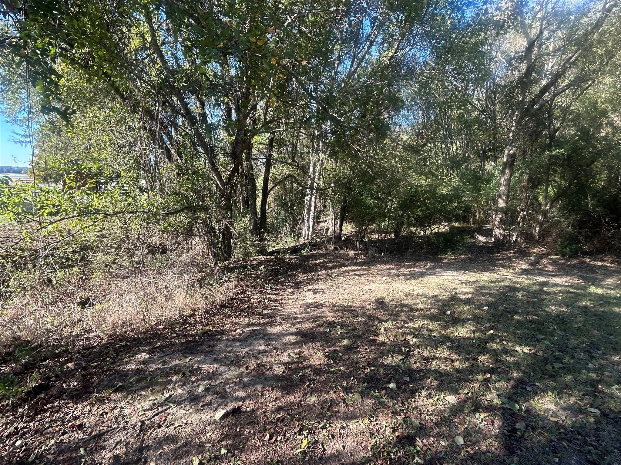 Unimproved Land For Sale in Henderson County , 0 Lake Lane, Eustace, Texas 75124, 0, 0, Garage spaces, 0 Sqft, built in 0, Price $12,000, mls#21276080, Real Estate Agent in Eustace, Homes For Sale in Henderson county, Homes For Sale in Eustace, Realtor in Eustace Texas, Real Estate Brokerage Independent Realty Texas, Luminita Cordes Realtor