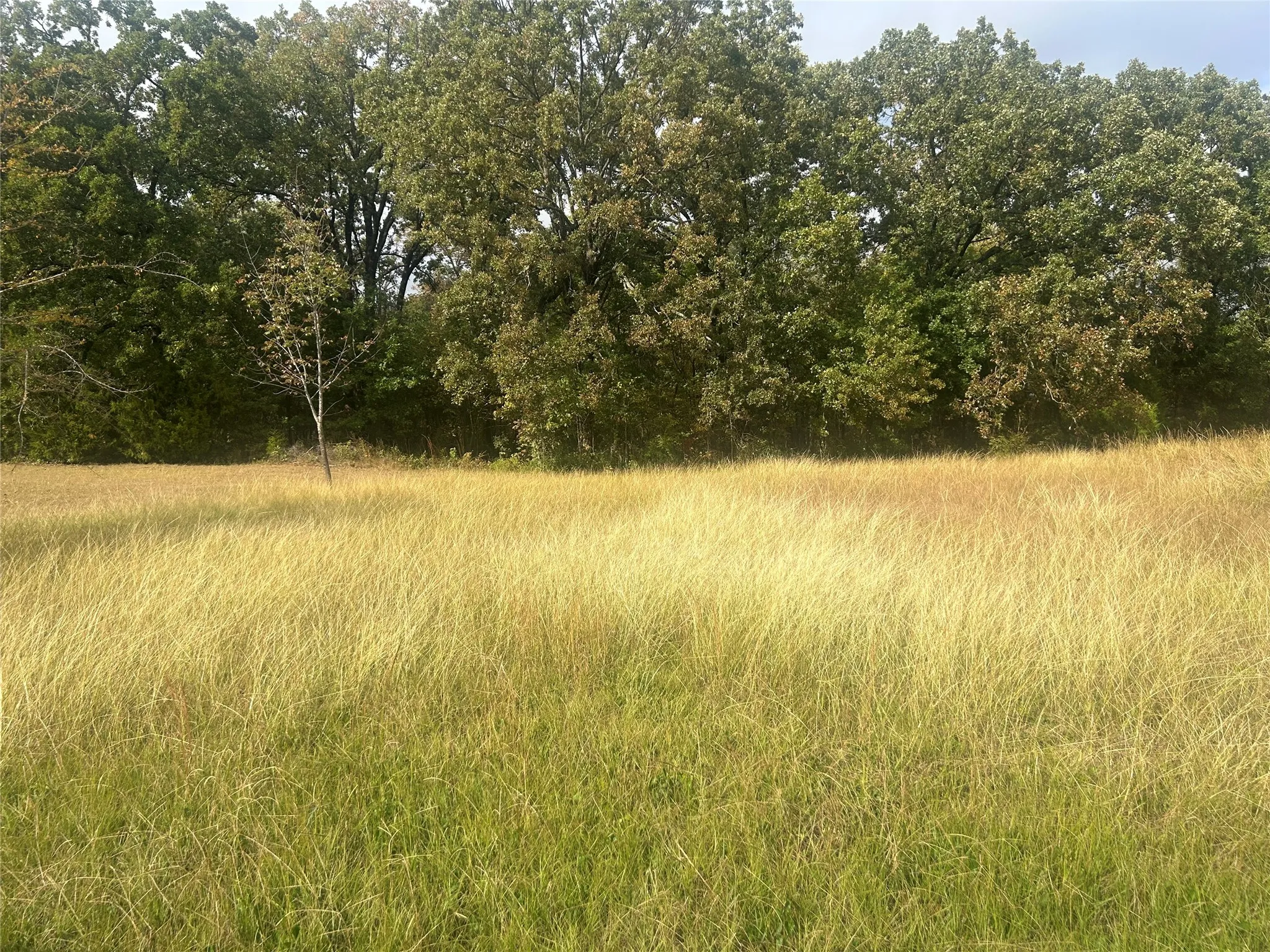 Unimproved Land For Sale in Henderson County , 46 Kanakoa Drive, Tool, Texas 75143, 0, 0, Garage spaces, 0 Sqft, built in 0, Price $59,900, mls#21276092, Real Estate Agent in Tool, Homes For Sale in Henderson county, Homes For Sale in Tool, Realtor in Tool Texas, Real Estate Brokerage Independent Realty Texas, Luminita Cordes Realtor