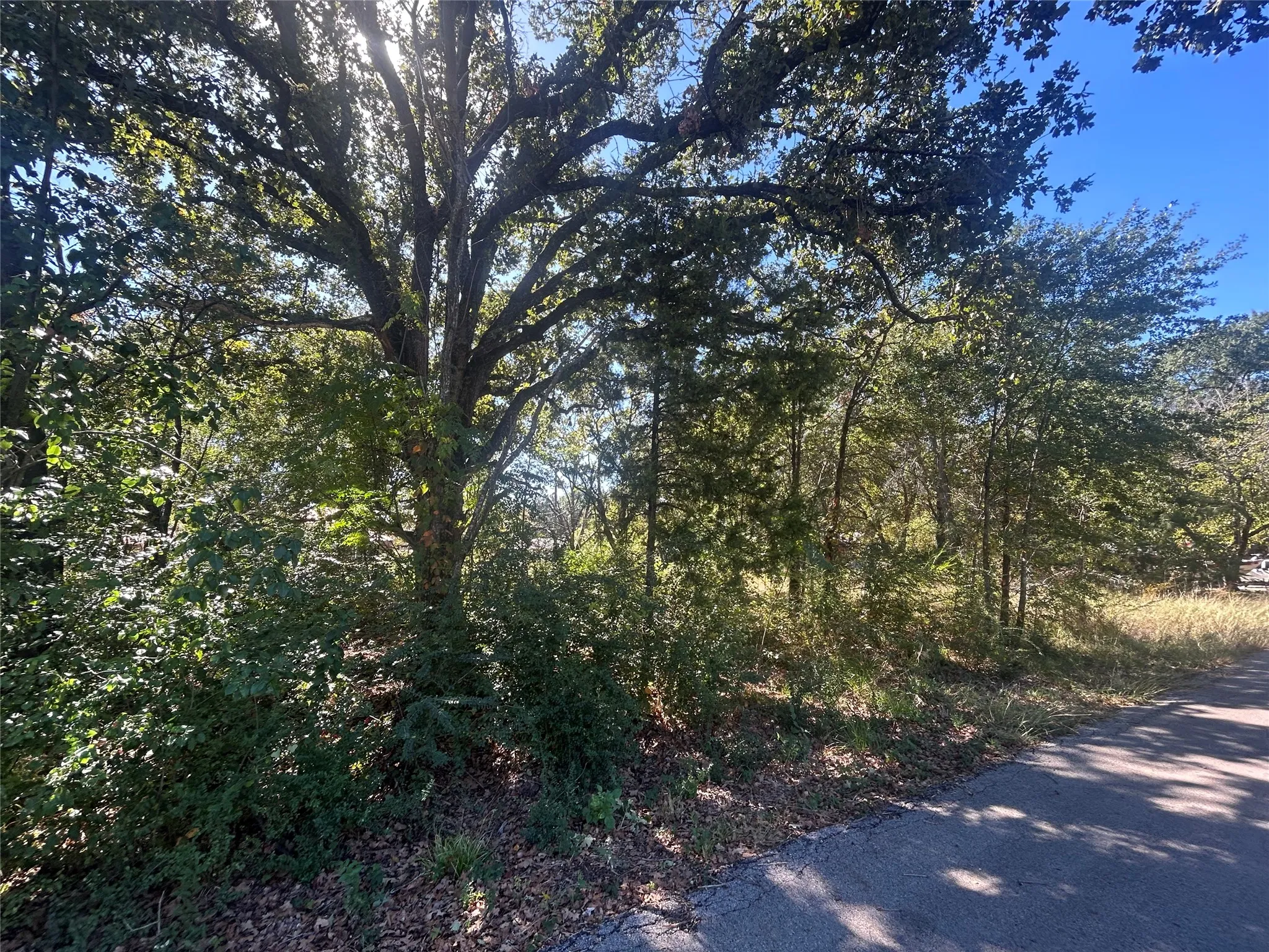 Unimproved Land For Sale in Henderson County , 00 Bluebonnet Drive, Gun Barrel City, Texas 75156, 0, 0, Garage spaces, 0 Sqft, built in 0, Price $19,500, mls#21276095, Real Estate Agent in Gun Barrel City, Homes For Sale in Henderson county, Homes For Sale in Gun Barrel City, Realtor in Gun Barrel City Texas, Real Estate Brokerage Independent Realty Texas, Luminita Cordes Realtor