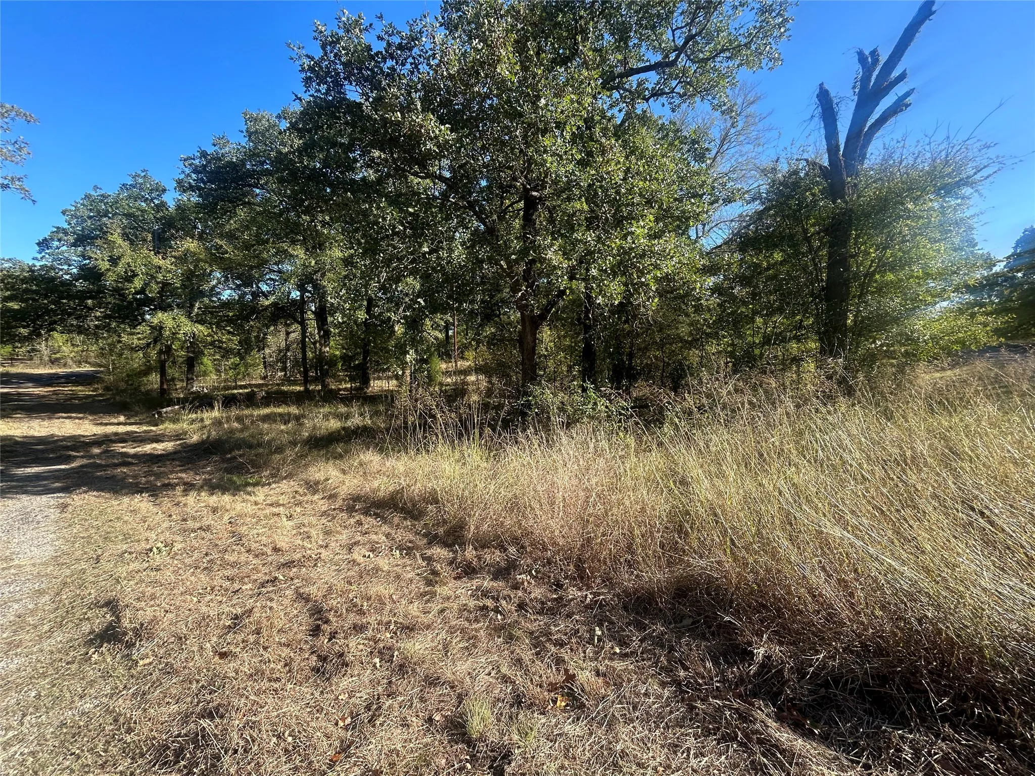Unimproved Land For Sale in Henderson County , 58 Point Lavista, Malakoff, Texas 75148, 0, 0, Garage spaces, 0 Sqft, built in 0, Price $20,000, mls#21276113, Real Estate Agent in Malakoff, Homes For Sale in Henderson county, Homes For Sale in Malakoff, Realtor in Malakoff Texas, Real Estate Brokerage Independent Realty Texas, Luminita Cordes Realtor
