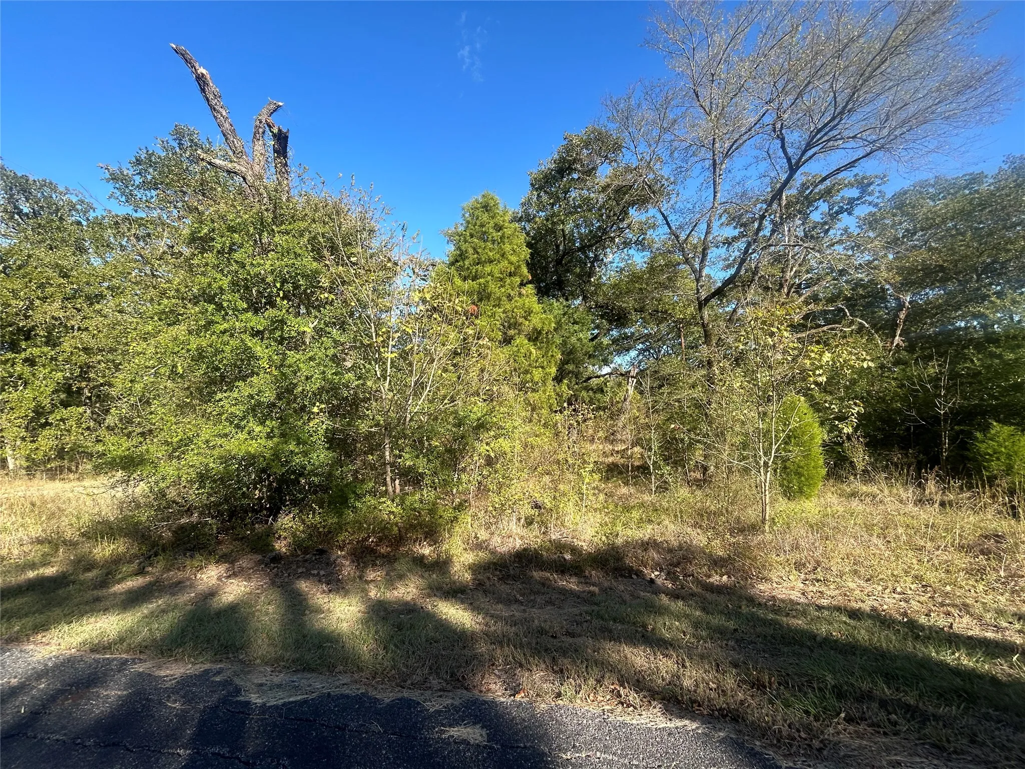 Unimproved Land For Sale in Henderson County , 58 Point Lavista, Malakoff, Texas 75148, 0, 0, Garage spaces, 0 Sqft, built in 0, Price $20,000, mls#21276113, Real Estate Agent in Malakoff, Homes For Sale in Henderson county, Homes For Sale in Malakoff, Realtor in Malakoff Texas, Real Estate Brokerage Independent Realty Texas, Luminita Cordes Realtor