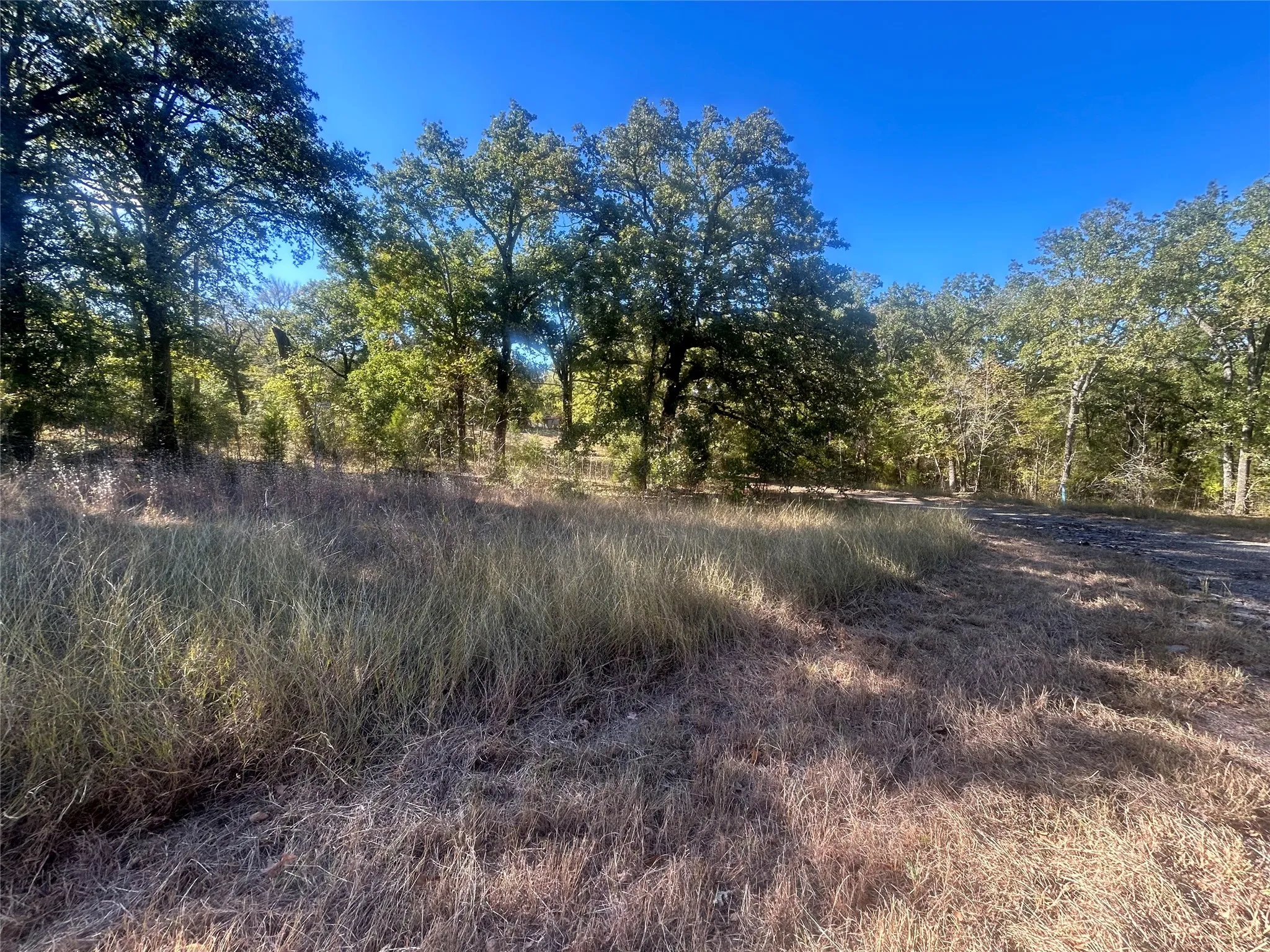 Unimproved Land For Sale in Henderson County , 58 Point Lavista, Malakoff, Texas 75148, 0, 0, Garage spaces, 0 Sqft, built in 0, Price $20,000, mls#21276113, Real Estate Agent in Malakoff, Homes For Sale in Henderson county, Homes For Sale in Malakoff, Realtor in Malakoff Texas, Real Estate Brokerage Independent Realty Texas, Luminita Cordes Realtor