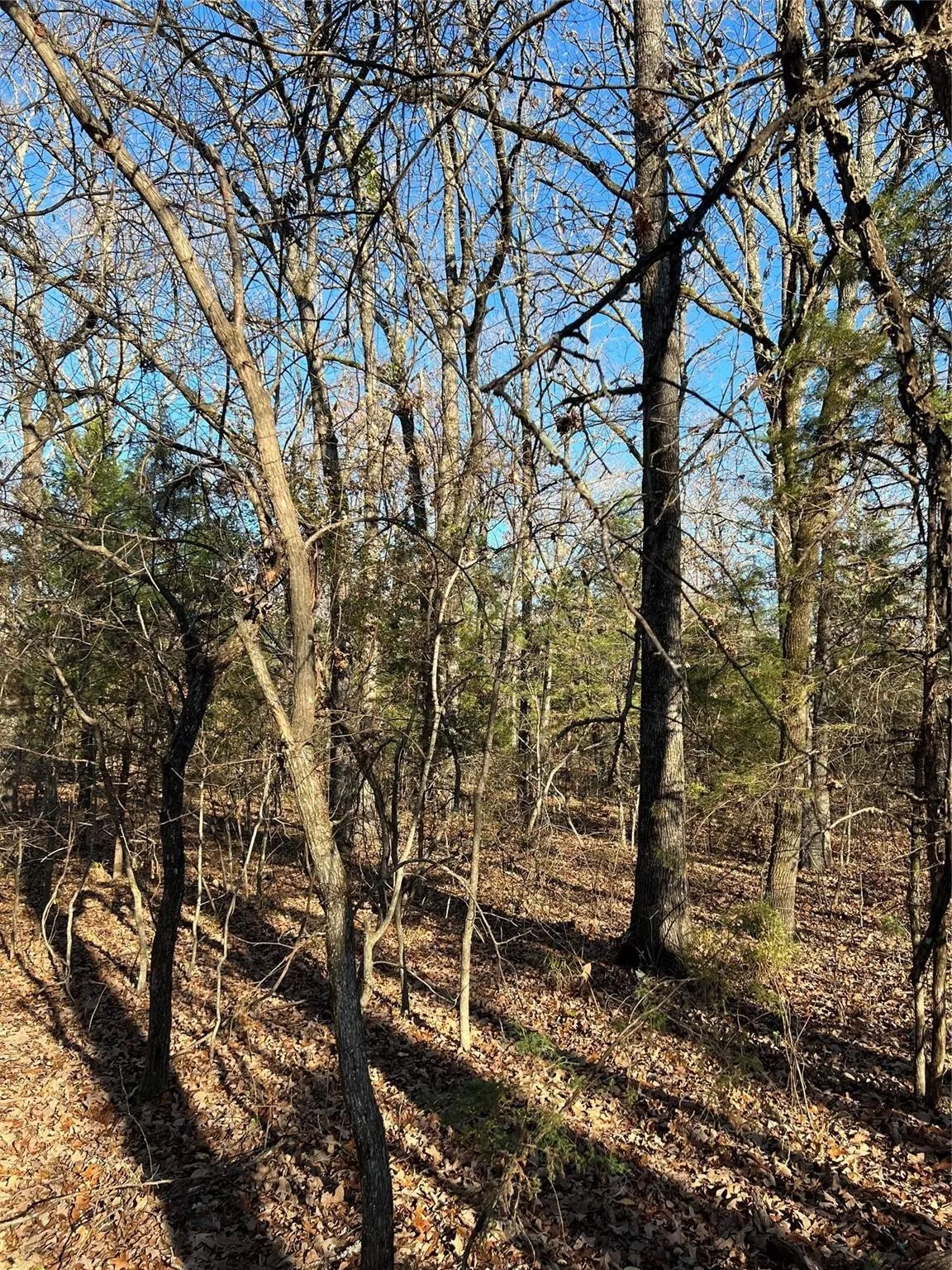 Ranch For Sale in Fannin County , TBD County Road 2415, Honey Grove, Texas 75446, 0, 0, Garage spaces, 0 Sqft, built in 0, mls#21273348, Real Estate Agent in Honey Grove, Homes For Sale in Fannin county, Homes For Sale in Honey Grove, Realtor in Honey Grove Texas, Real Estate Brokerage Independent Realty Texas, Luminita Cordes Realtor