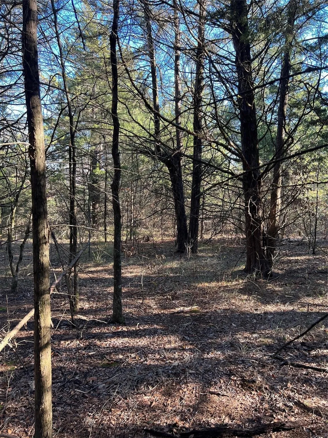 Ranch For Sale in Fannin County , TBD County Road 2415, Honey Grove, Texas 75446, 0, 0, Garage spaces, 0 Sqft, built in 0, mls#21273348, Real Estate Agent in Honey Grove, Homes For Sale in Fannin county, Homes For Sale in Honey Grove, Realtor in Honey Grove Texas, Real Estate Brokerage Independent Realty Texas, Luminita Cordes Realtor