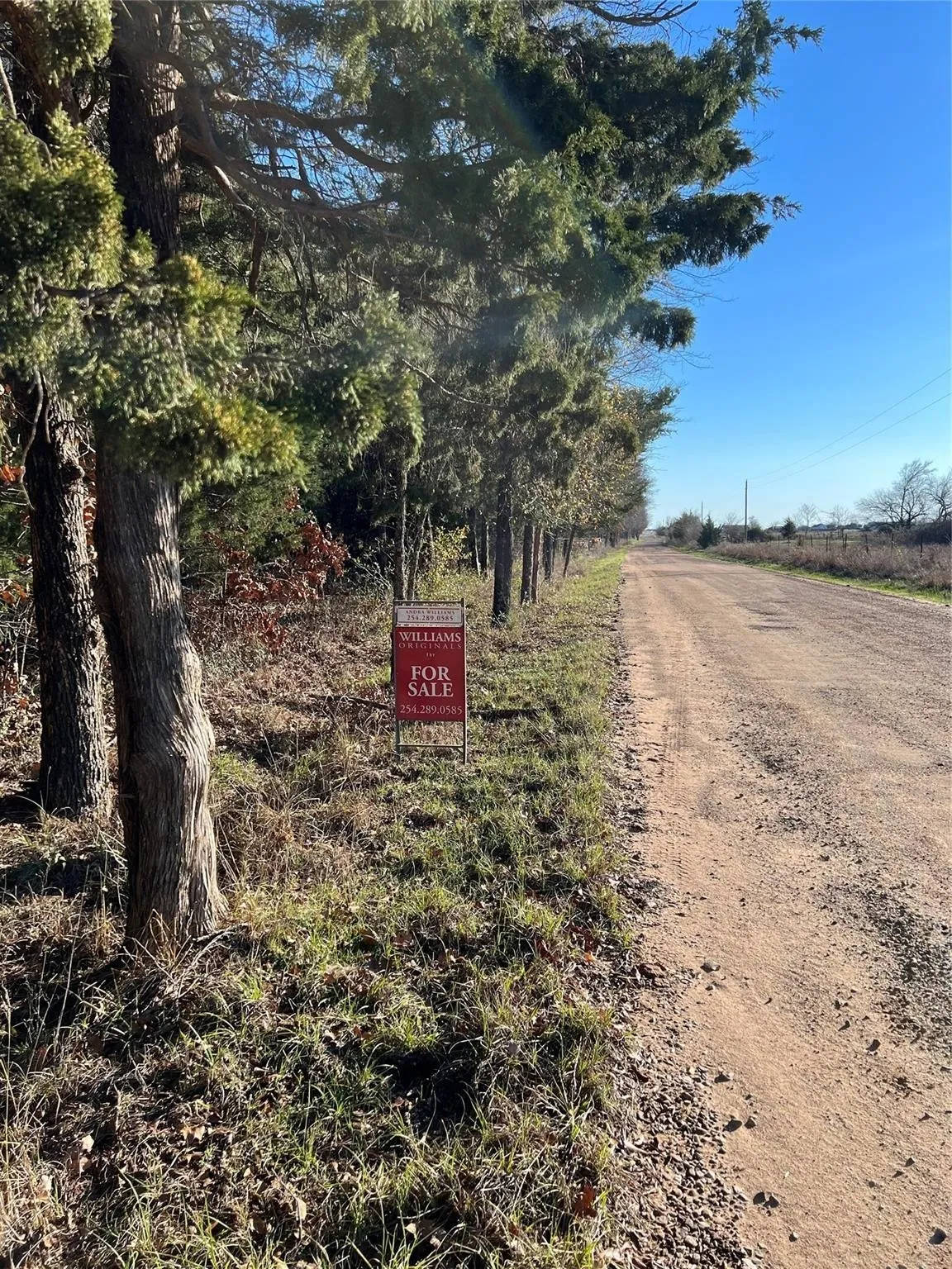 Ranch For Sale in Fannin County , TBD County Road 2415, Honey Grove, Texas 75446, 0, 0, Garage spaces, 0 Sqft, built in 0, mls#21273348, Real Estate Agent in Honey Grove, Homes For Sale in Fannin county, Homes For Sale in Honey Grove, Realtor in Honey Grove Texas, Real Estate Brokerage Independent Realty Texas, Luminita Cordes Realtor