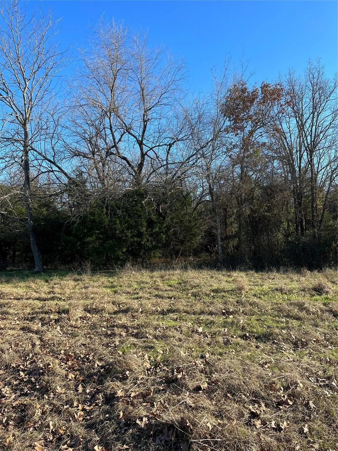 Ranch For Sale in Fannin County , TBD County Road 2415, Honey Grove, Texas 75446, 0, 0, Garage spaces, 0 Sqft, built in 0, mls#21273348, Real Estate Agent in Honey Grove, Homes For Sale in Fannin county, Homes For Sale in Honey Grove, Realtor in Honey Grove Texas, Real Estate Brokerage Independent Realty Texas, Luminita Cordes Realtor
