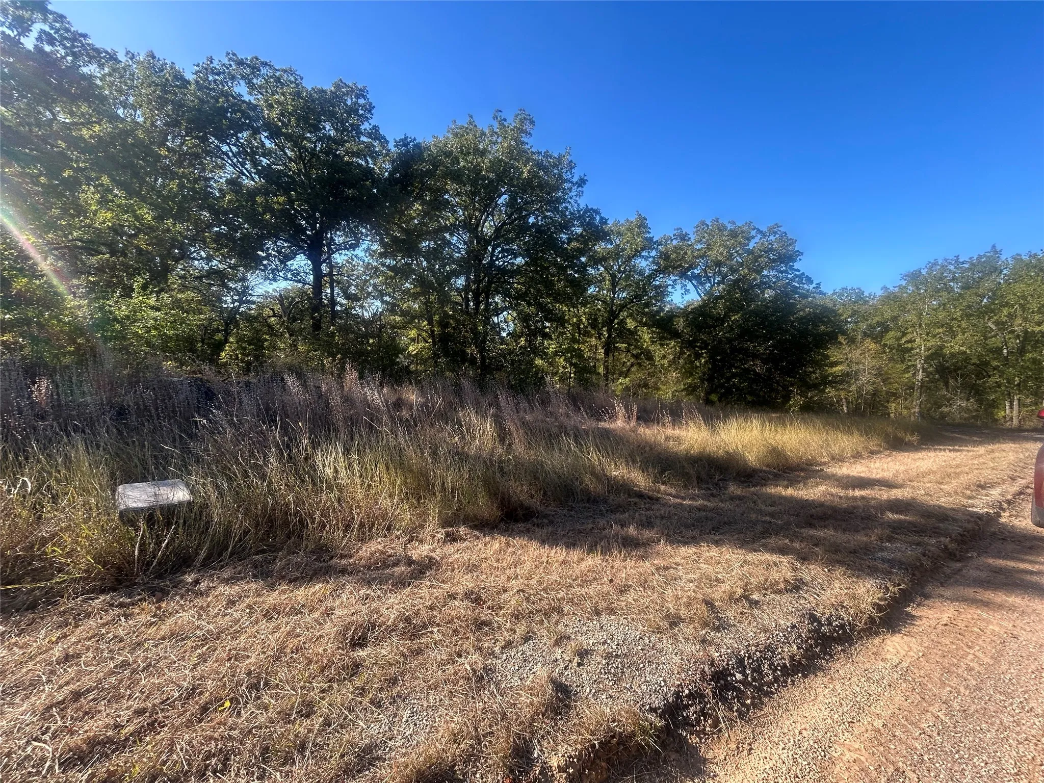 Unimproved Land For Sale in Henderson County , 57 Point Lavista, Malakoff, Texas 75148, 0, 0, Garage spaces, 0 Sqft, built in 0, Price $20,000, mls#21276120, Real Estate Agent in Malakoff, Homes For Sale in Henderson county, Homes For Sale in Malakoff, Realtor in Malakoff Texas, Real Estate Brokerage Independent Realty Texas, Luminita Cordes Realtor