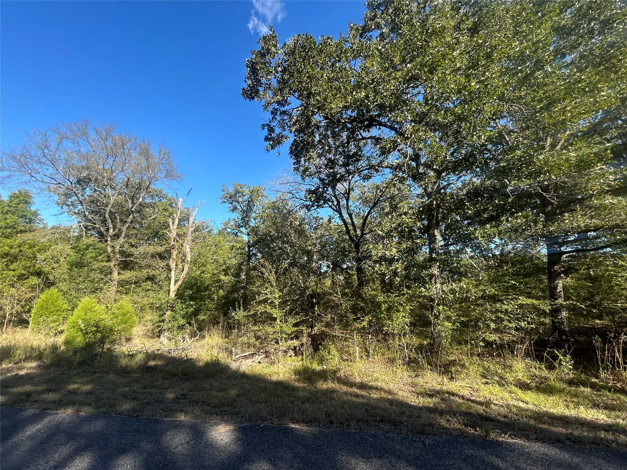 Unimproved Land For Sale in Henderson County , 57 Point Lavista, Malakoff, Texas 75148, 0, 0, Garage spaces, 0 Sqft, built in 0, Price $20,000, mls#21276120, Real Estate Agent in Malakoff, Homes For Sale in Henderson county, Homes For Sale in Malakoff, Realtor in Malakoff Texas, Real Estate Brokerage Independent Realty Texas, Luminita Cordes Realtor