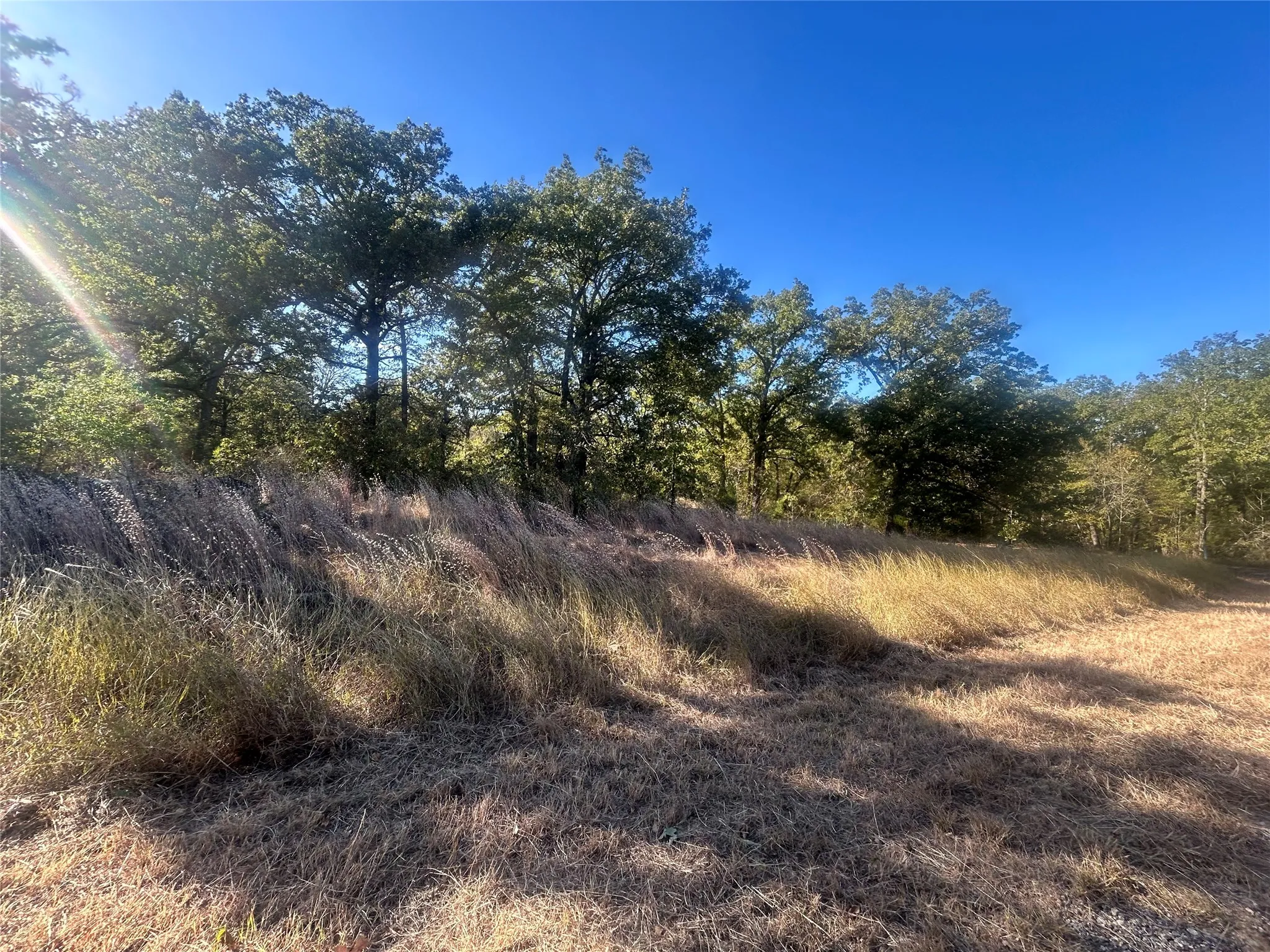 Unimproved Land For Sale in Henderson County , 57 Point Lavista, Malakoff, Texas 75148, 0, 0, Garage spaces, 0 Sqft, built in 0, Price $20,000, mls#21276120, Real Estate Agent in Malakoff, Homes For Sale in Henderson county, Homes For Sale in Malakoff, Realtor in Malakoff Texas, Real Estate Brokerage Independent Realty Texas, Luminita Cordes Realtor