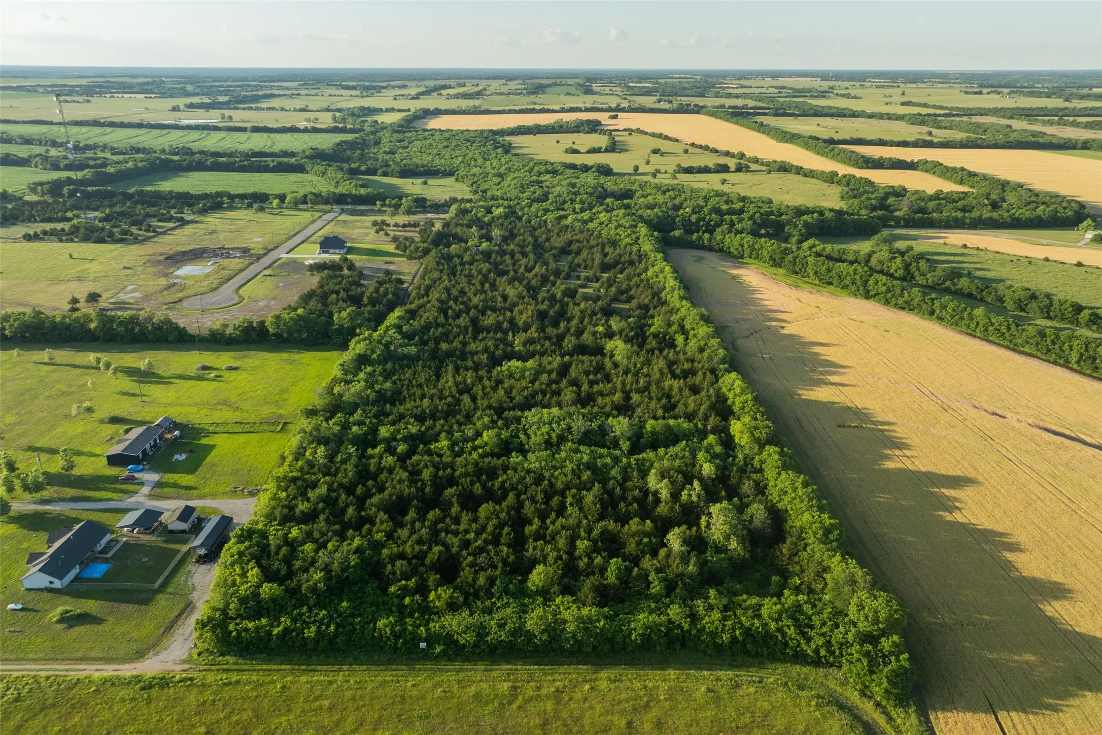 Unimproved Land For Sale in Fannin County , 3150 Fm 272, Celeste, Texas 75423, 0, 0, Garage spaces, 0 Sqft, built in 1940, mls#21273726, Real Estate Agent in Celeste, Homes For Sale in Fannin county, Homes For Sale in Celeste, Realtor in Celeste Texas, Real Estate Brokerage Independent Realty Texas, Luminita Cordes Realtor