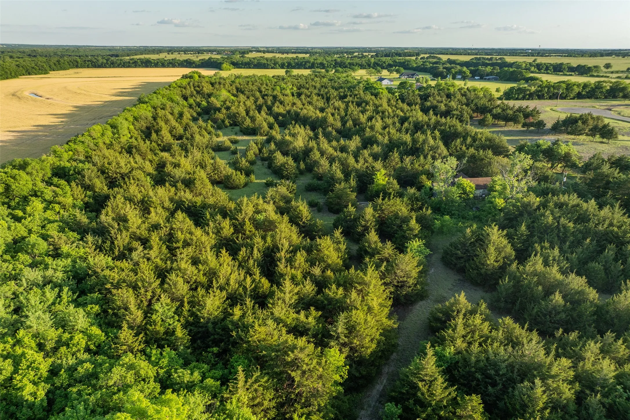 Unimproved Land For Sale in Fannin County , 3150 Fm 272, Celeste, Texas 75423, 0, 0, Garage spaces, 0 Sqft, built in 1940, mls#21273726, Real Estate Agent in Celeste, Homes For Sale in Fannin county, Homes For Sale in Celeste, Realtor in Celeste Texas, Real Estate Brokerage Independent Realty Texas, Luminita Cordes Realtor