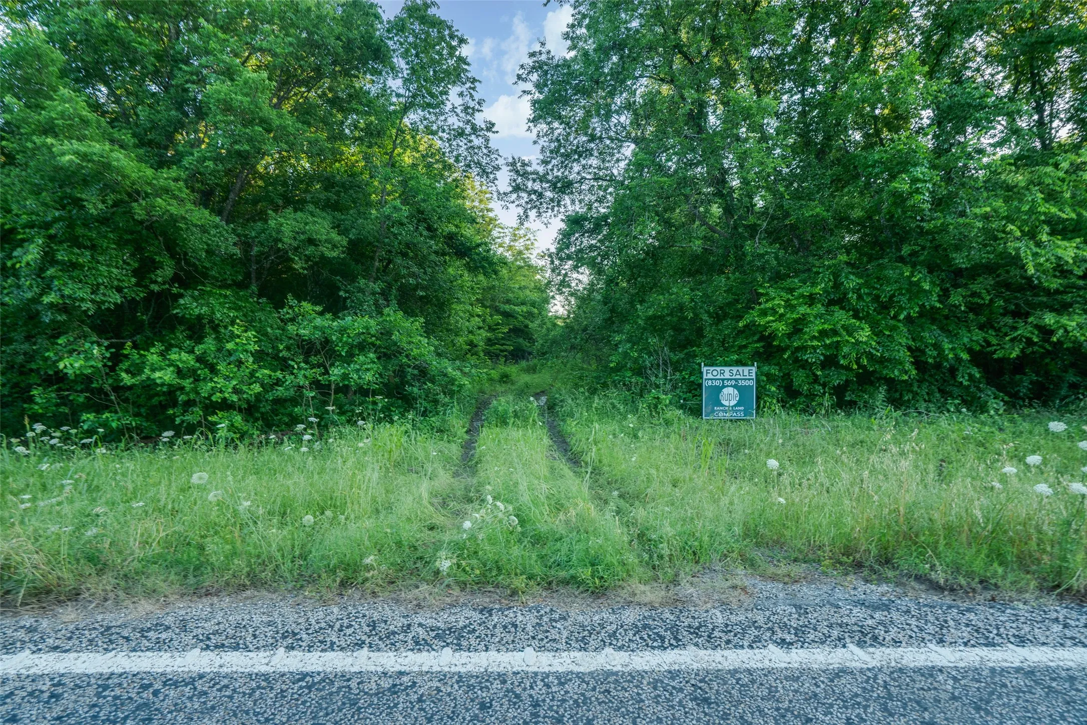 Unimproved Land For Sale in Fannin County , 3150 Fm 272, Celeste, Texas 75423, 0, 0, Garage spaces, 0 Sqft, built in 1940, mls#21273726, Real Estate Agent in Celeste, Homes For Sale in Fannin county, Homes For Sale in Celeste, Realtor in Celeste Texas, Real Estate Brokerage Independent Realty Texas, Luminita Cordes Realtor