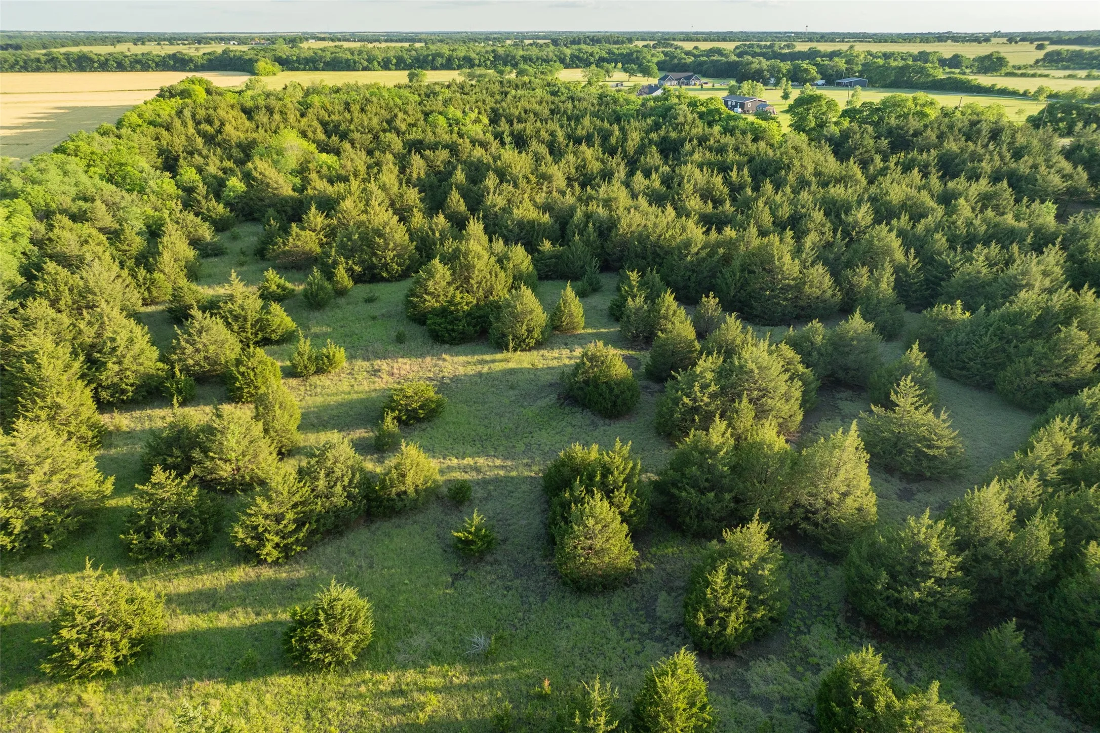 Unimproved Land For Sale in Fannin County , 3150 Fm 272, Celeste, Texas 75423, 0, 0, Garage spaces, 0 Sqft, built in 1940, mls#21273726, Real Estate Agent in Celeste, Homes For Sale in Fannin county, Homes For Sale in Celeste, Realtor in Celeste Texas, Real Estate Brokerage Independent Realty Texas, Luminita Cordes Realtor